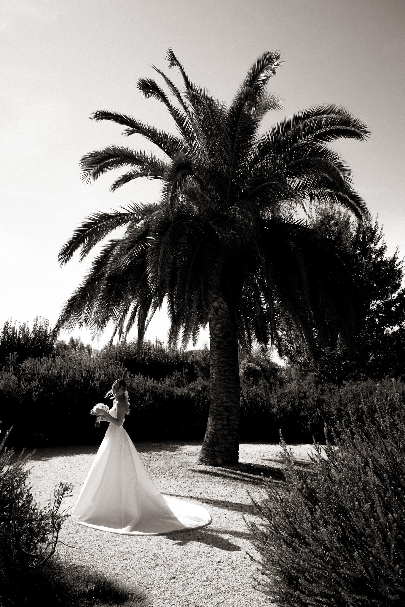Sposa in abito bianco sotto la palma a Bolgheri, ritratto di matrimonio in bianco e nero con luce naturale