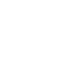 Matt