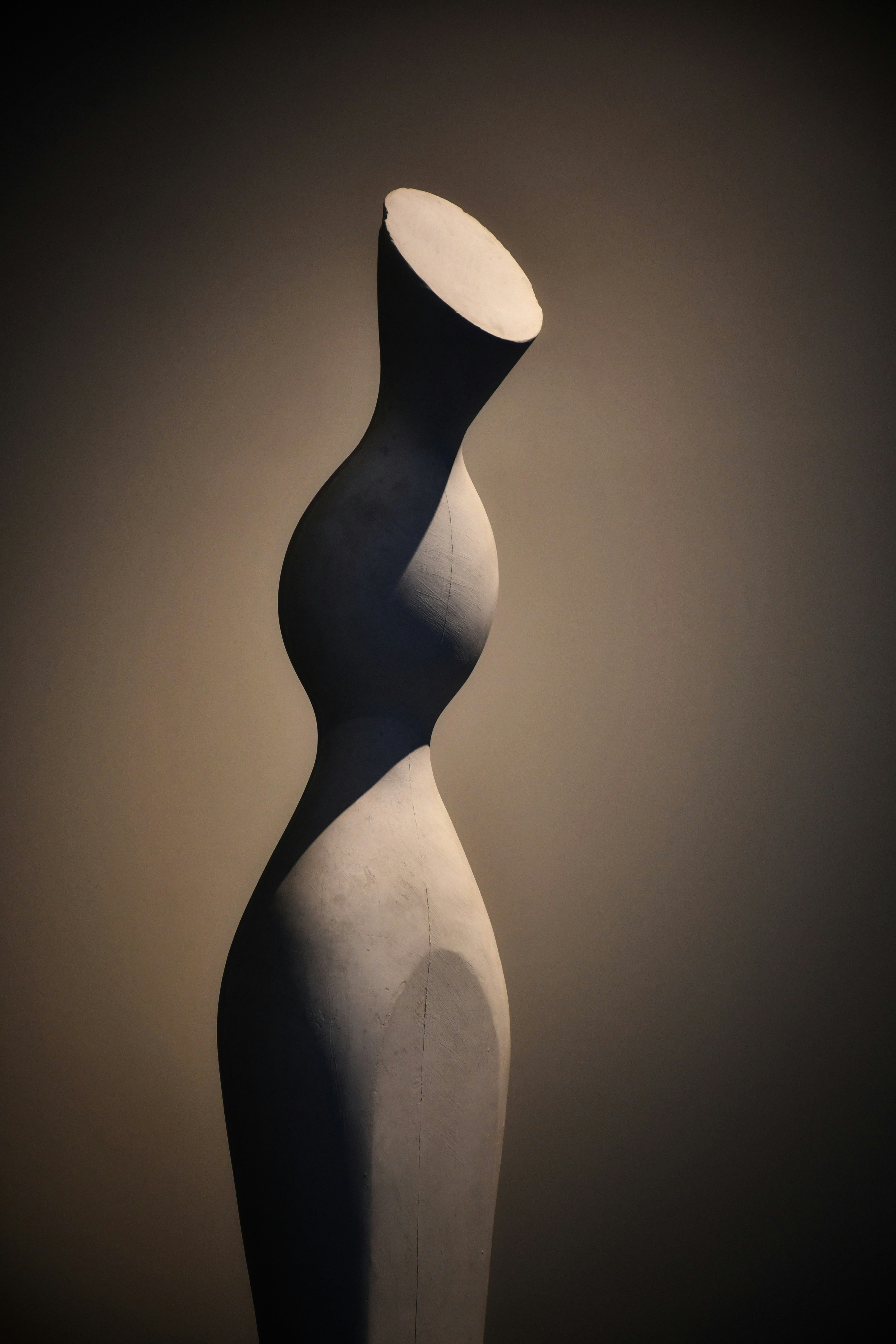 a close-up of a plant