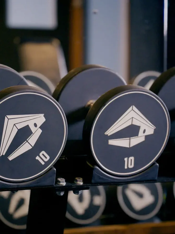 Kurzhanteln mit weißem Logo auf einem Ständer im Fitnessraum