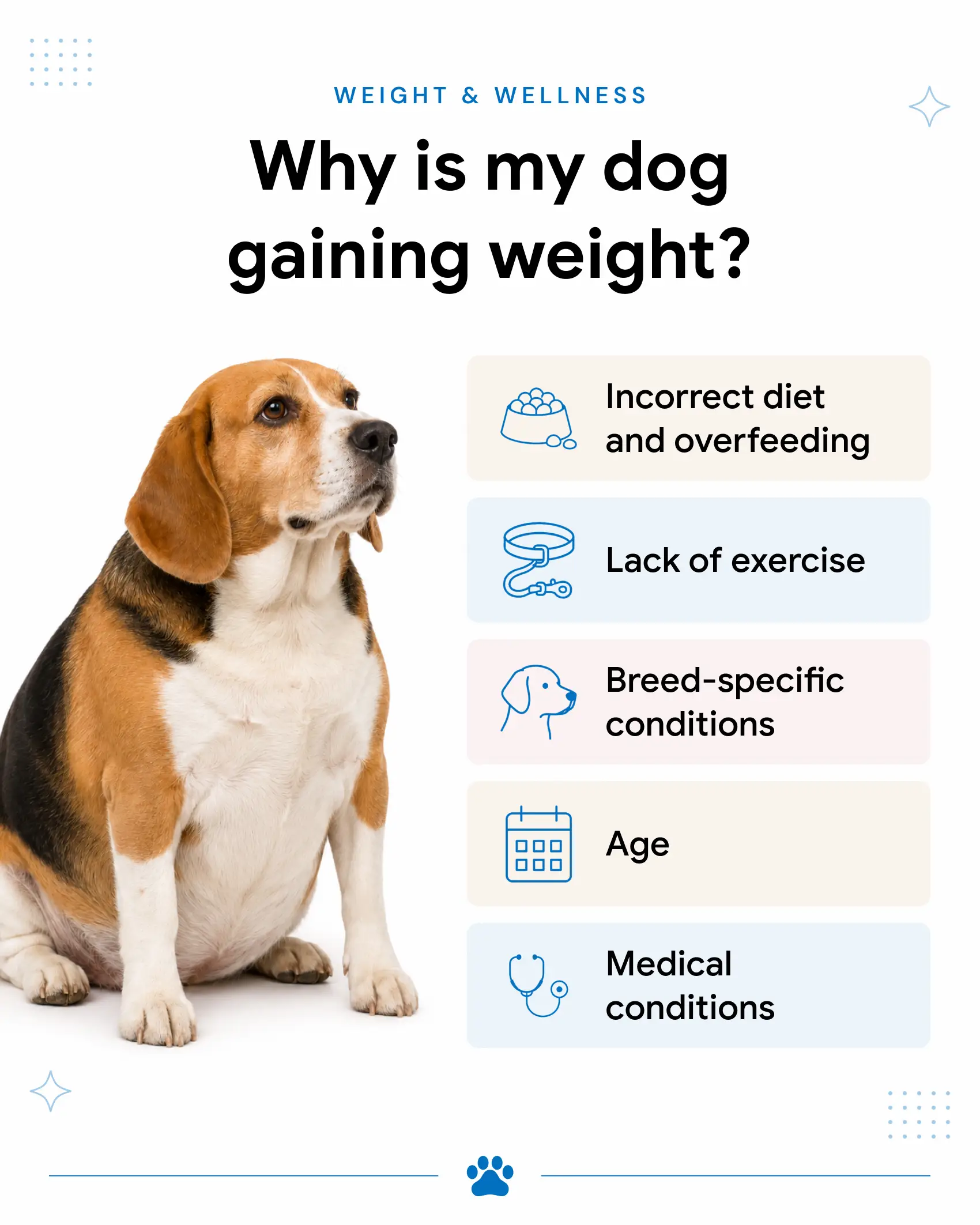 An infographic showing the reasons why dogs gain weight.