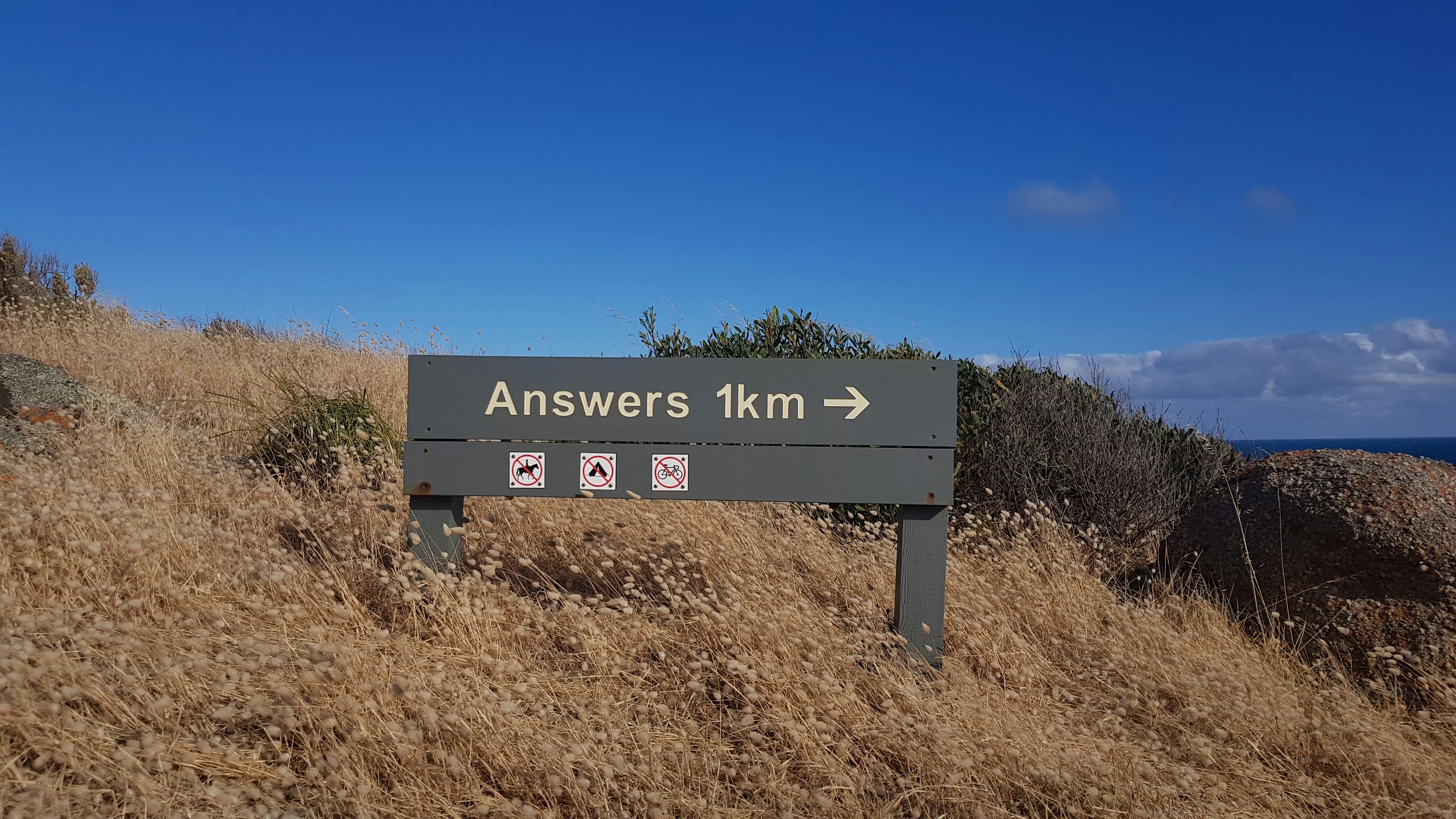 A sign pointing toward answers, representing how AI SEO guidance helps brands improve AI visibility, strengthen citations in AI assistants like ChatGPT, and rebuild traffic lost to AI.