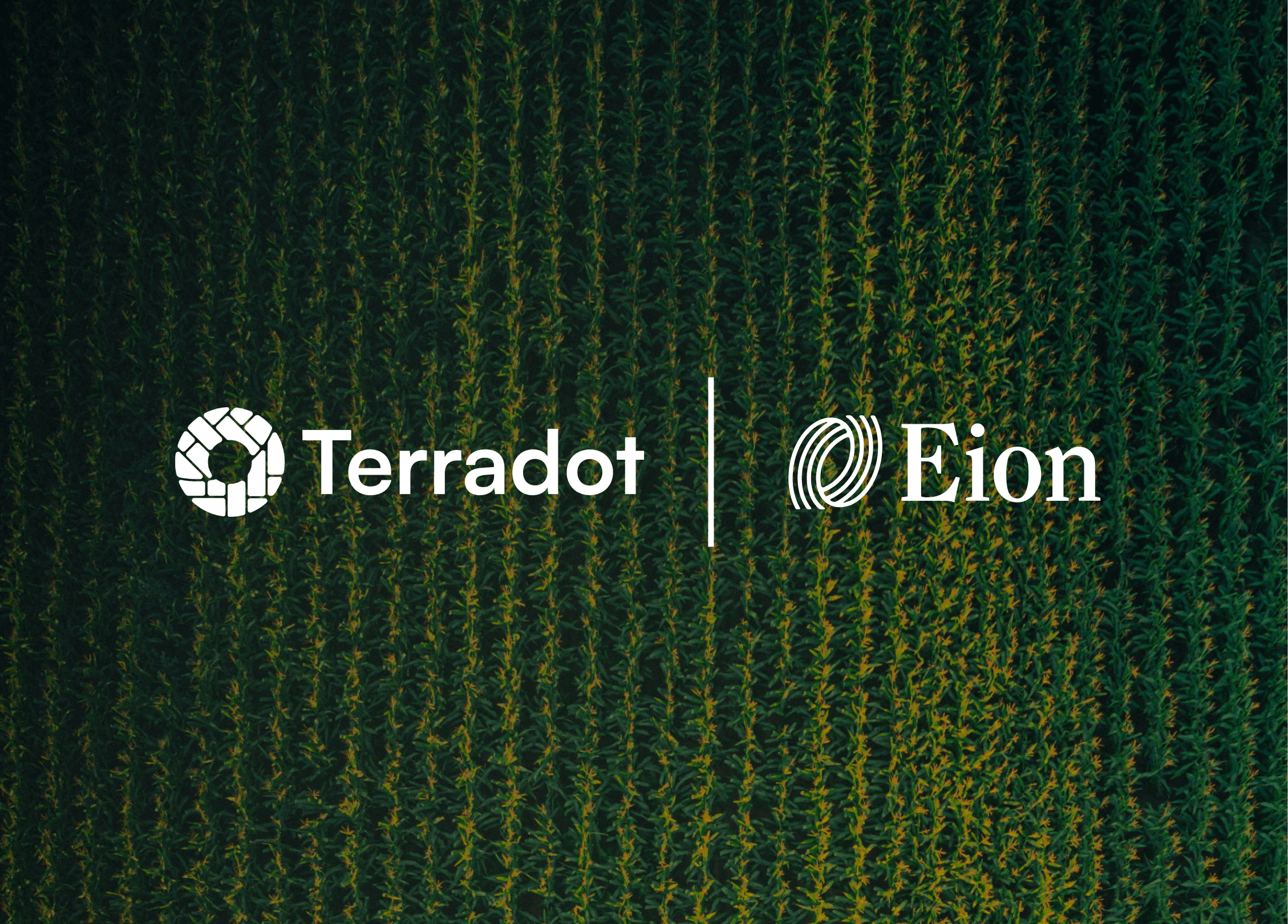 Terradot and Eion logos