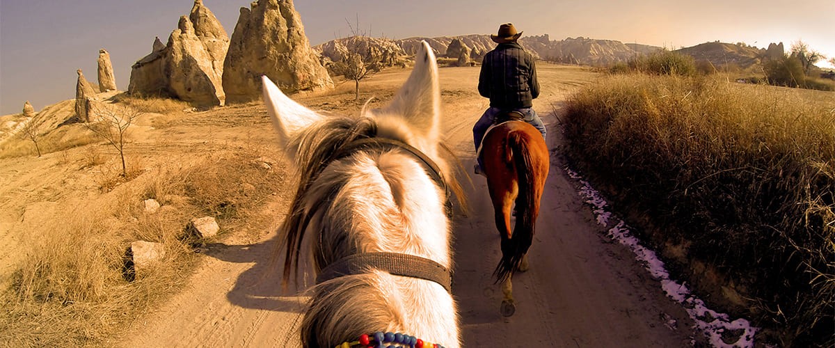 Kapadokya Vadide At Turu