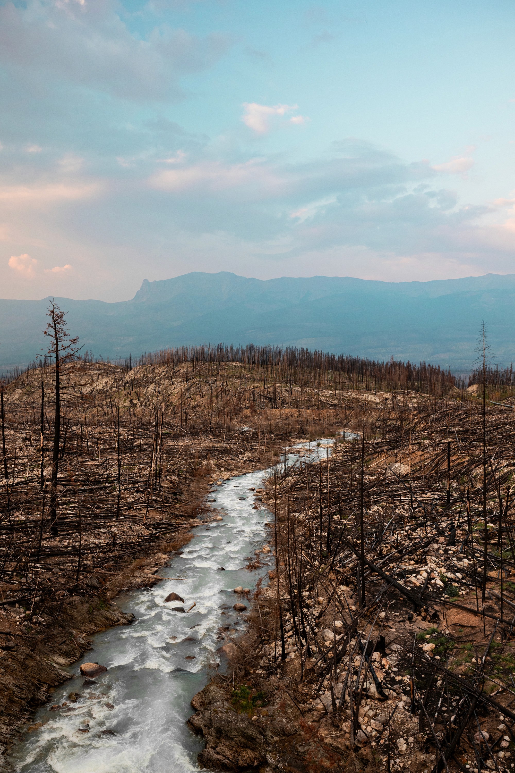 River Through the Burn