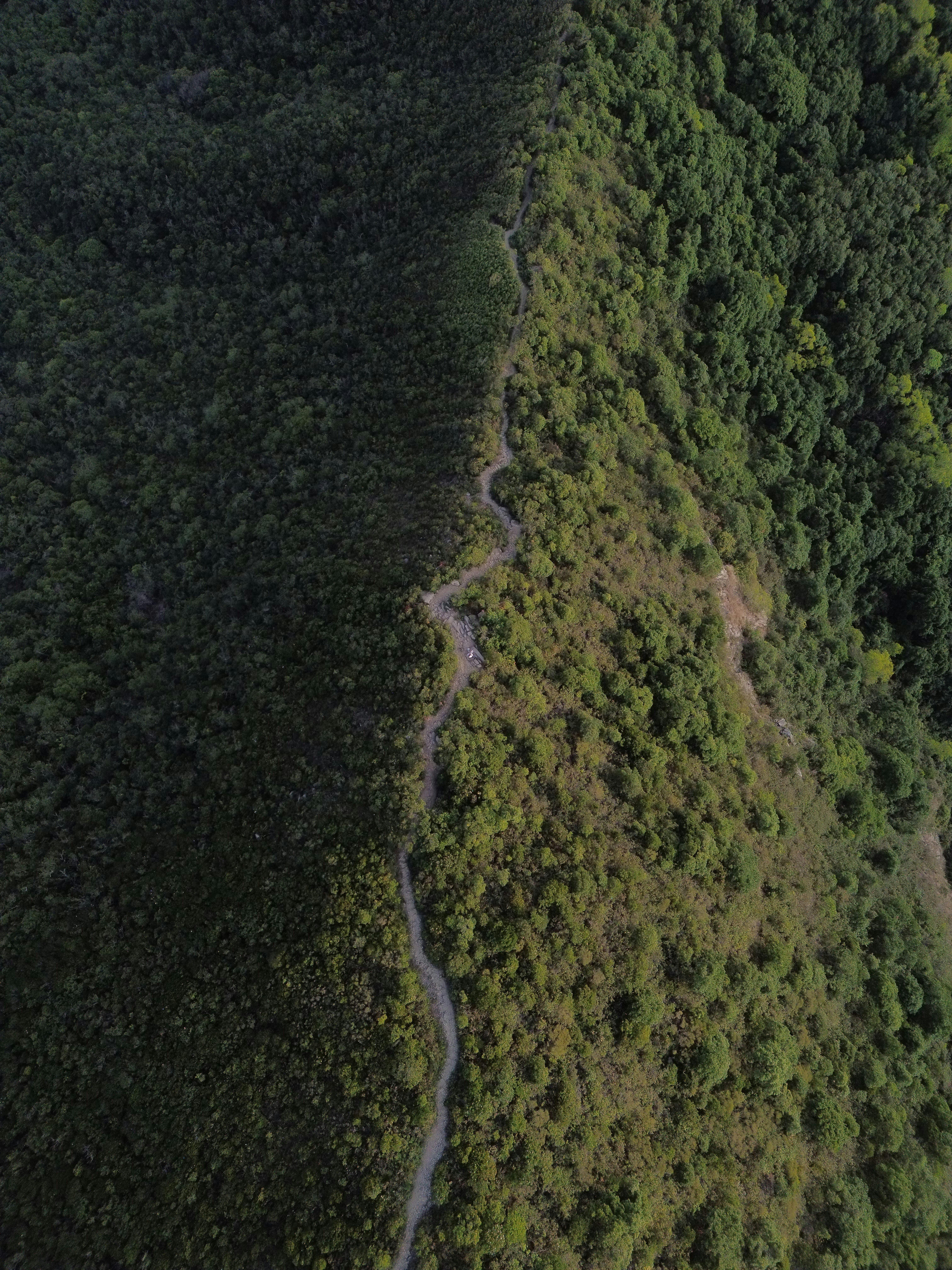 Aerial view of a winding road through lush green mountains.