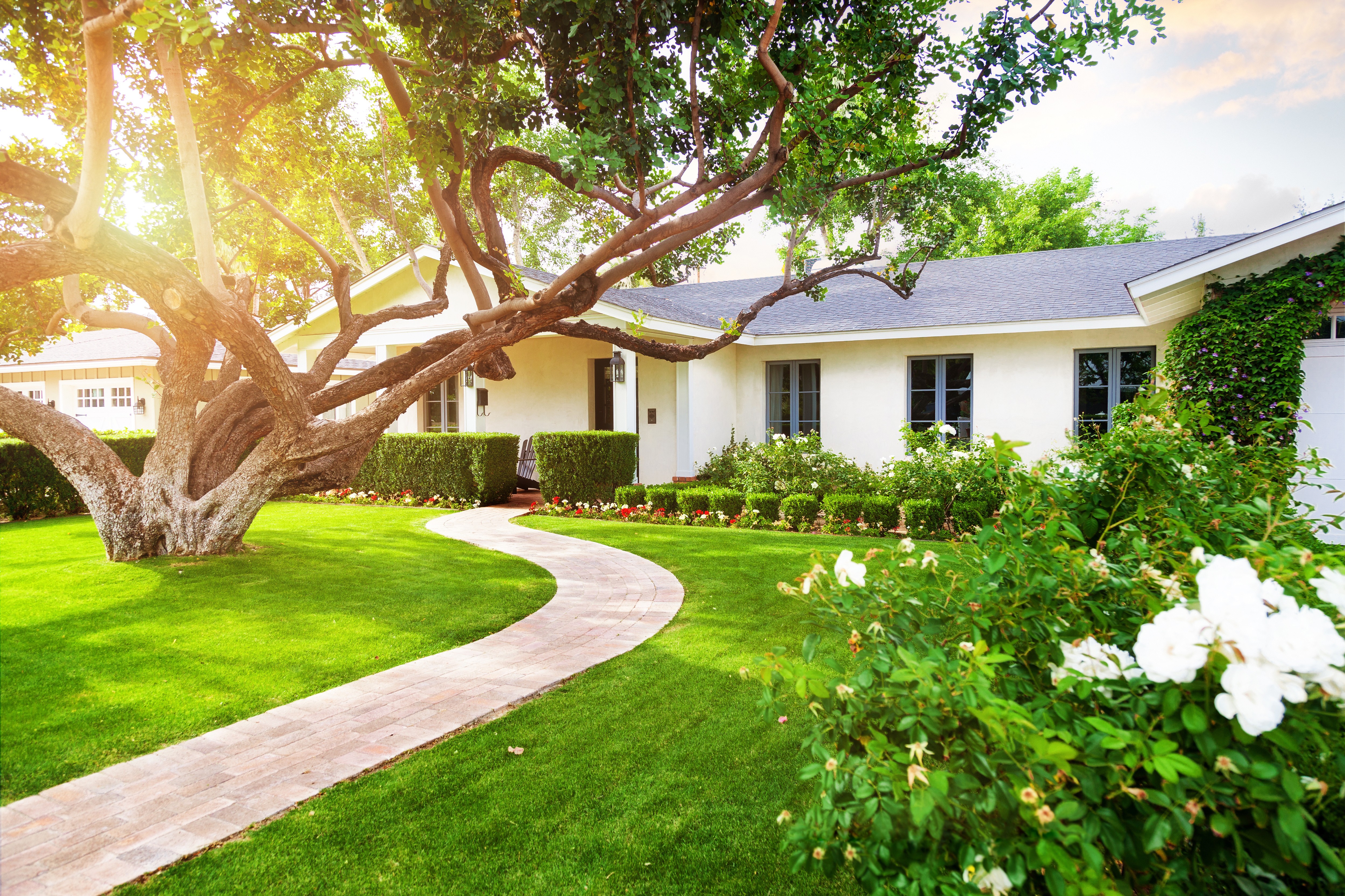 A backyard accessory dwelling in a garden surrounded by flowers.