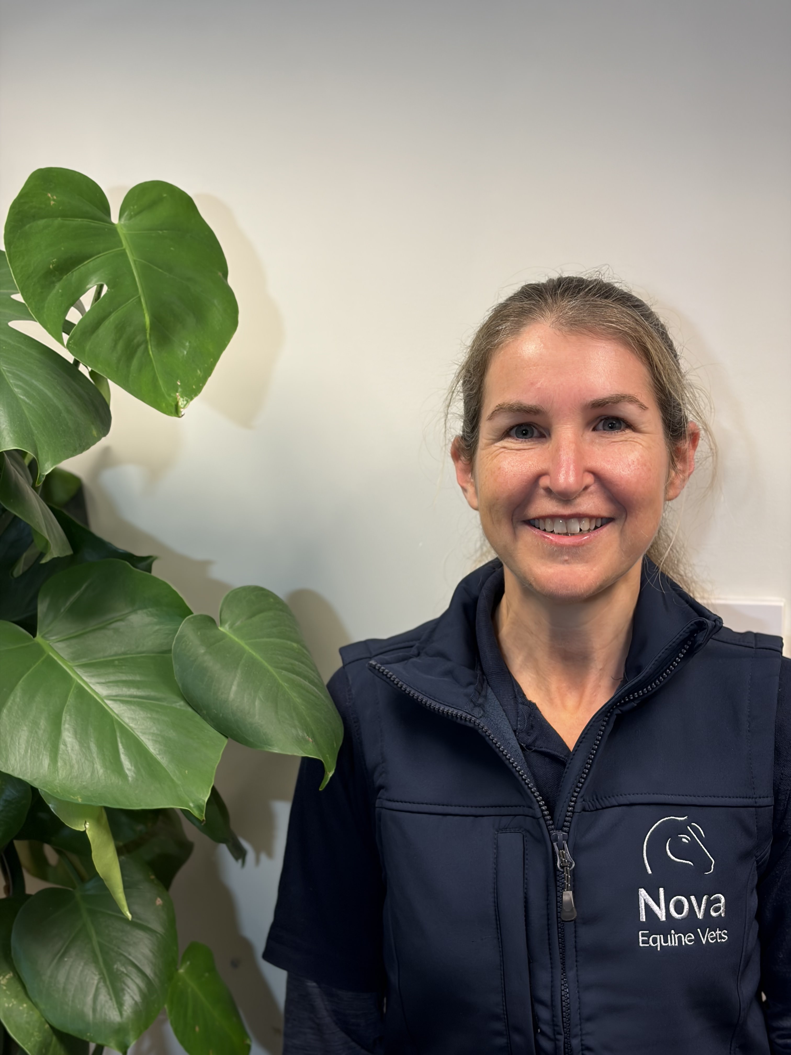 brown horse eating grass during cloudy sky