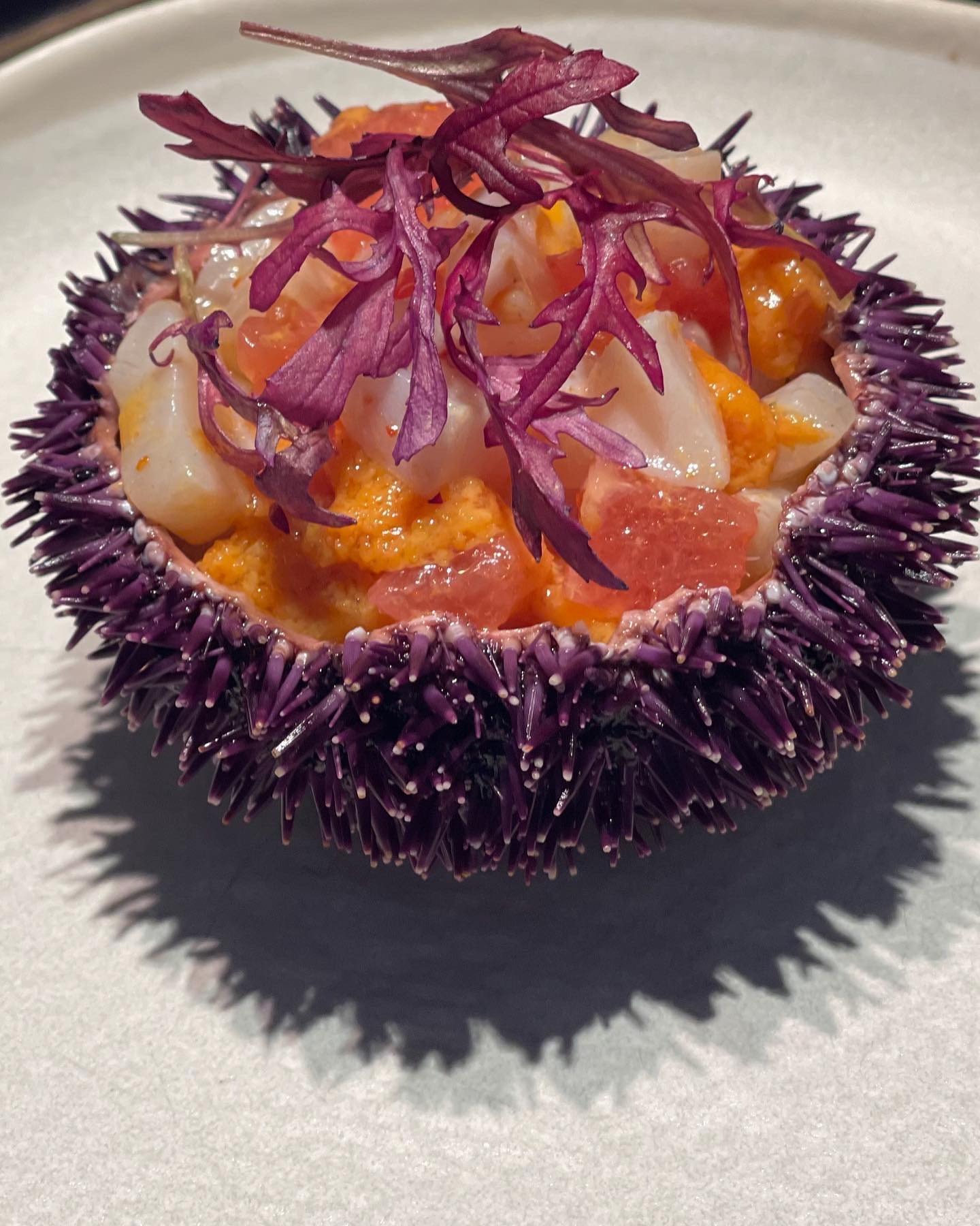 food served on a white plate