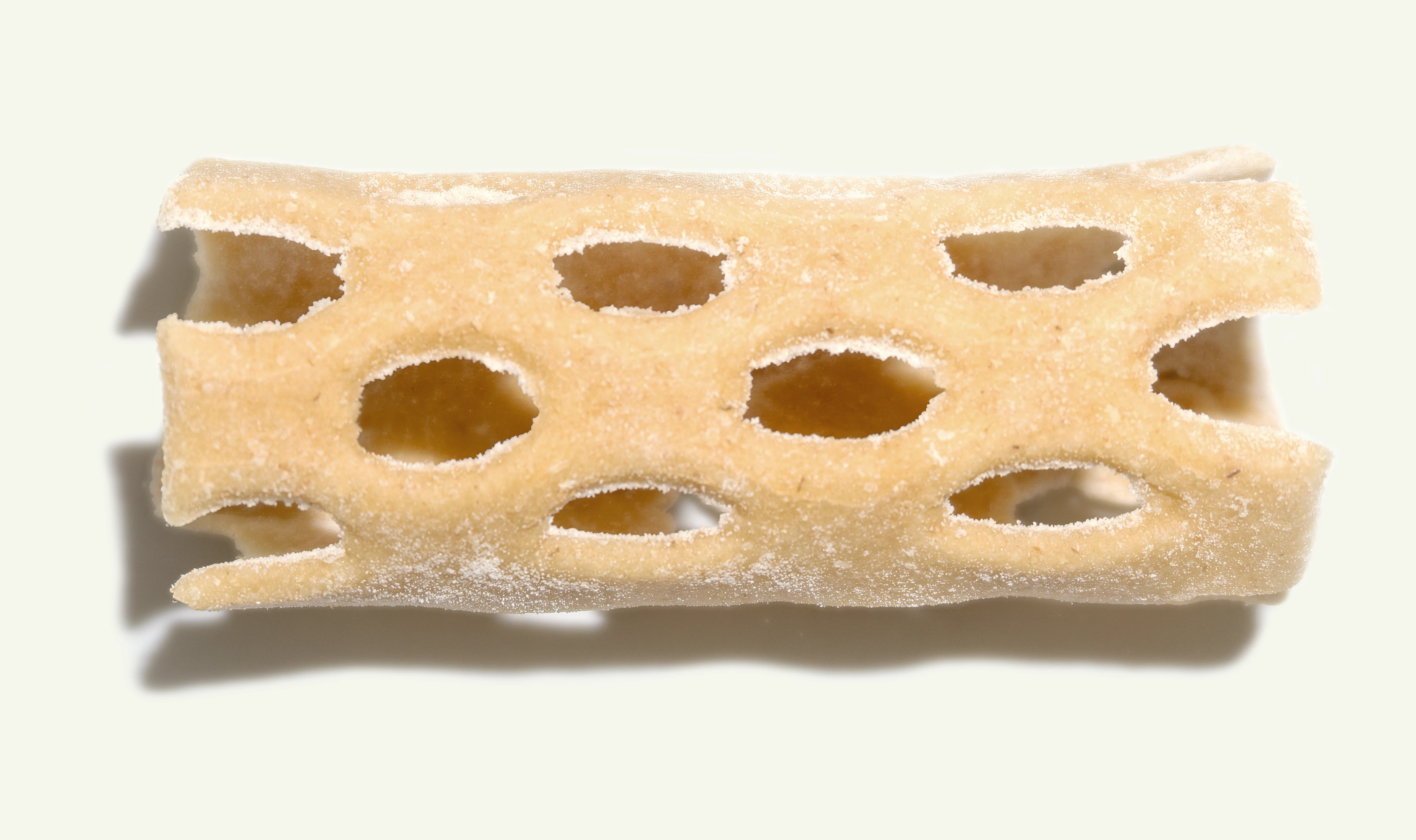 DHL Lunar lander on the Moon