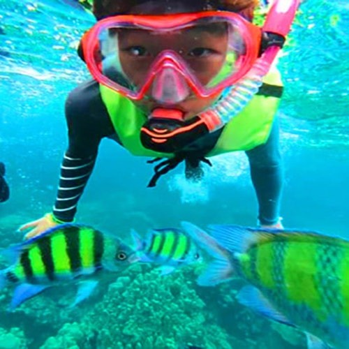 一个人在水下与五颜六色的鱼和珊瑚一起浮潜，佩戴着粉色面罩、呼吸管和荧光绿色救生衣。