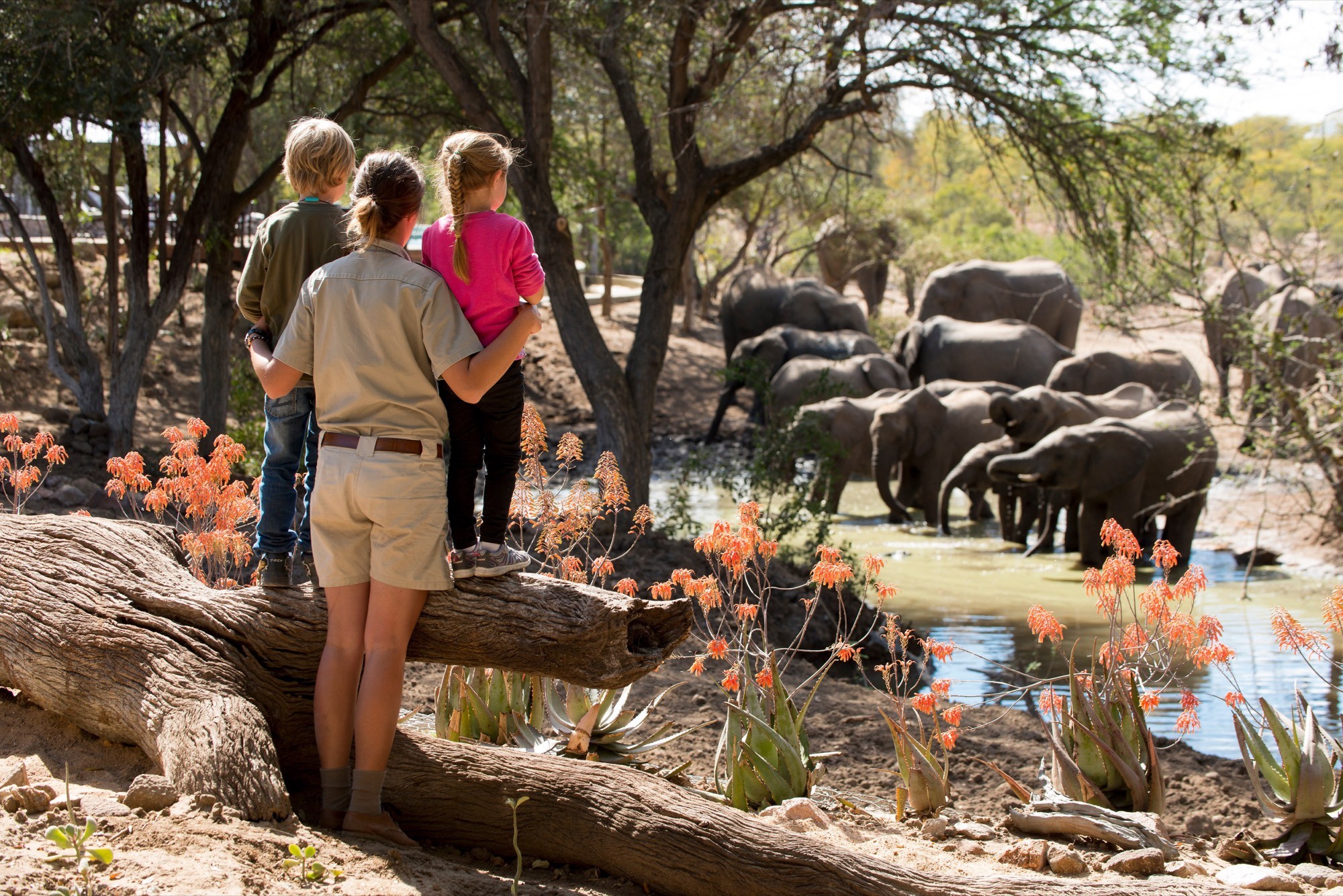 A mother and children watching elephants gather at a waterhole