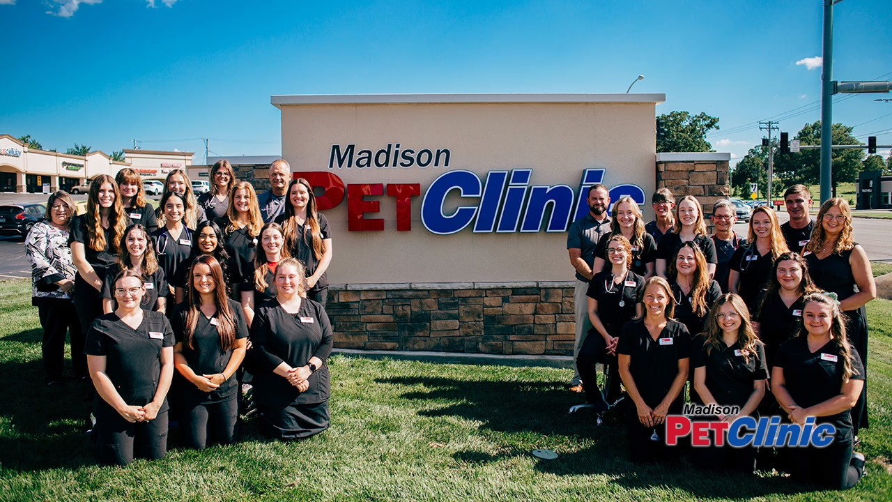 Madison Pet Clinic Thumbnail