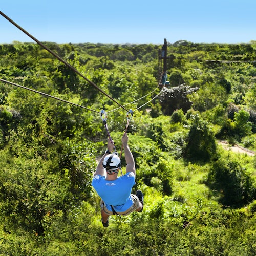 Persona haciendo tirolesa sobre un exuberante bosque verde, vistiendo una camiseta azul, shorts y casco. El cielo está despejado con una luz solar brillante.