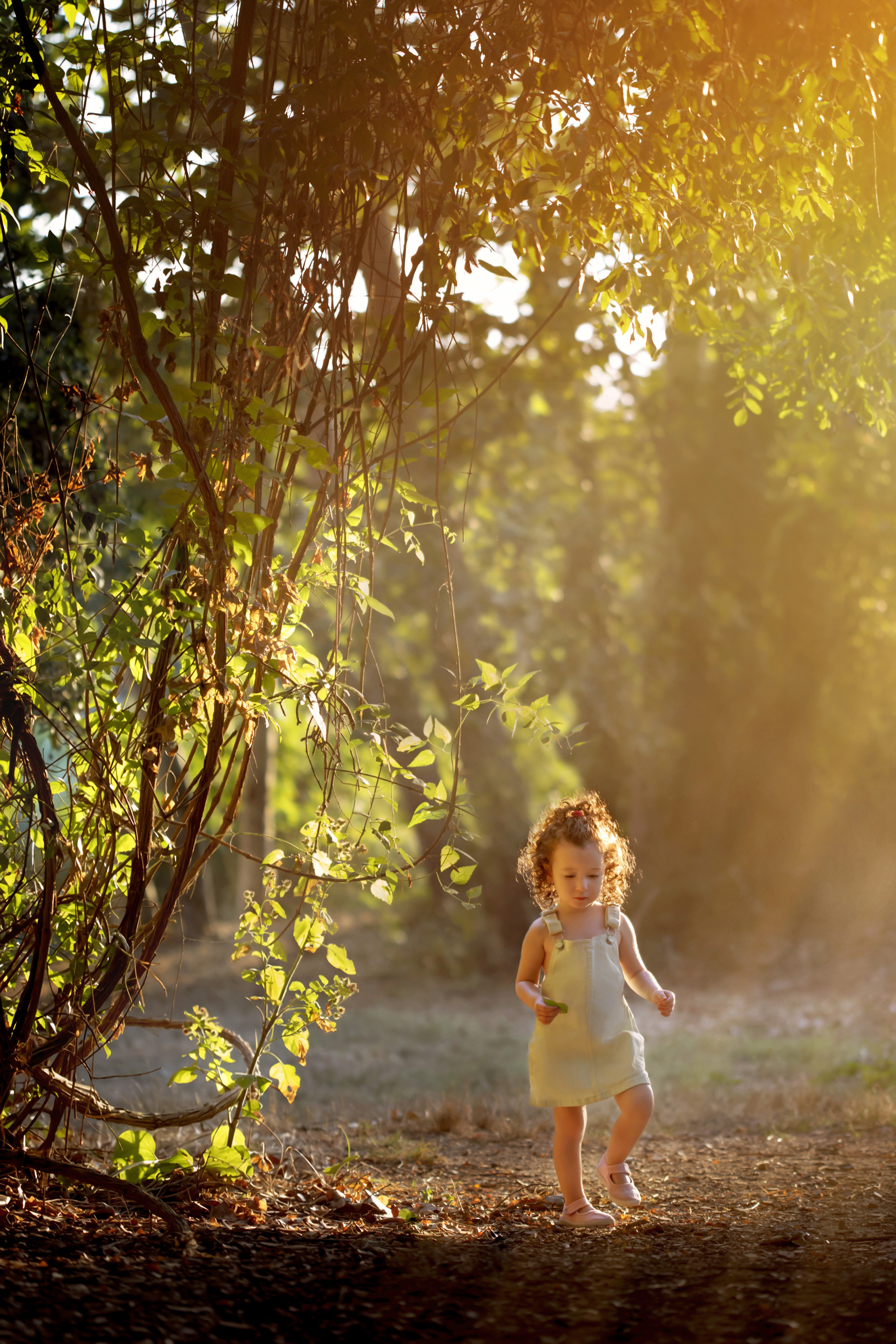 Niña paseando a la luz de la golden hour