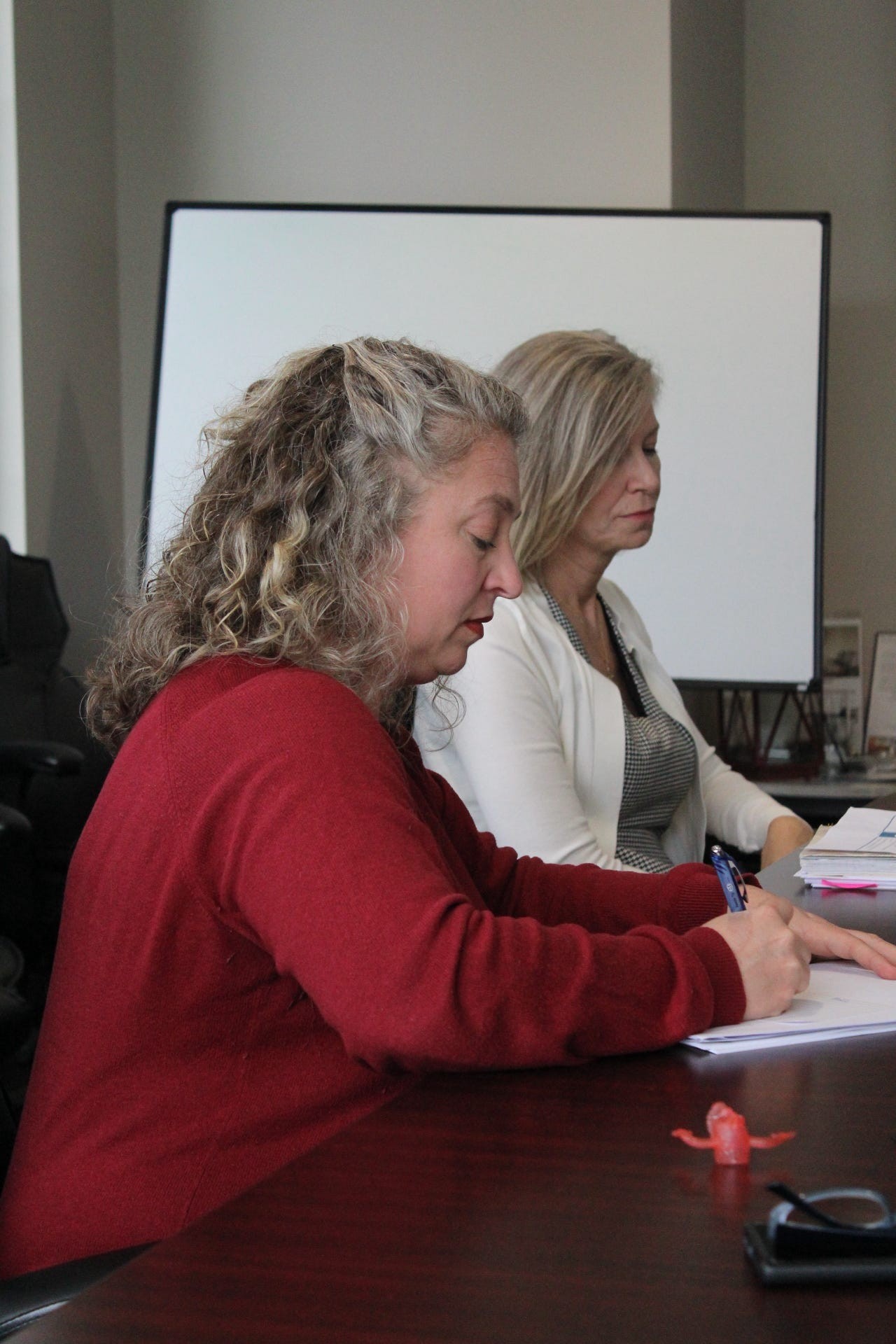 Meghan and Cherie Working