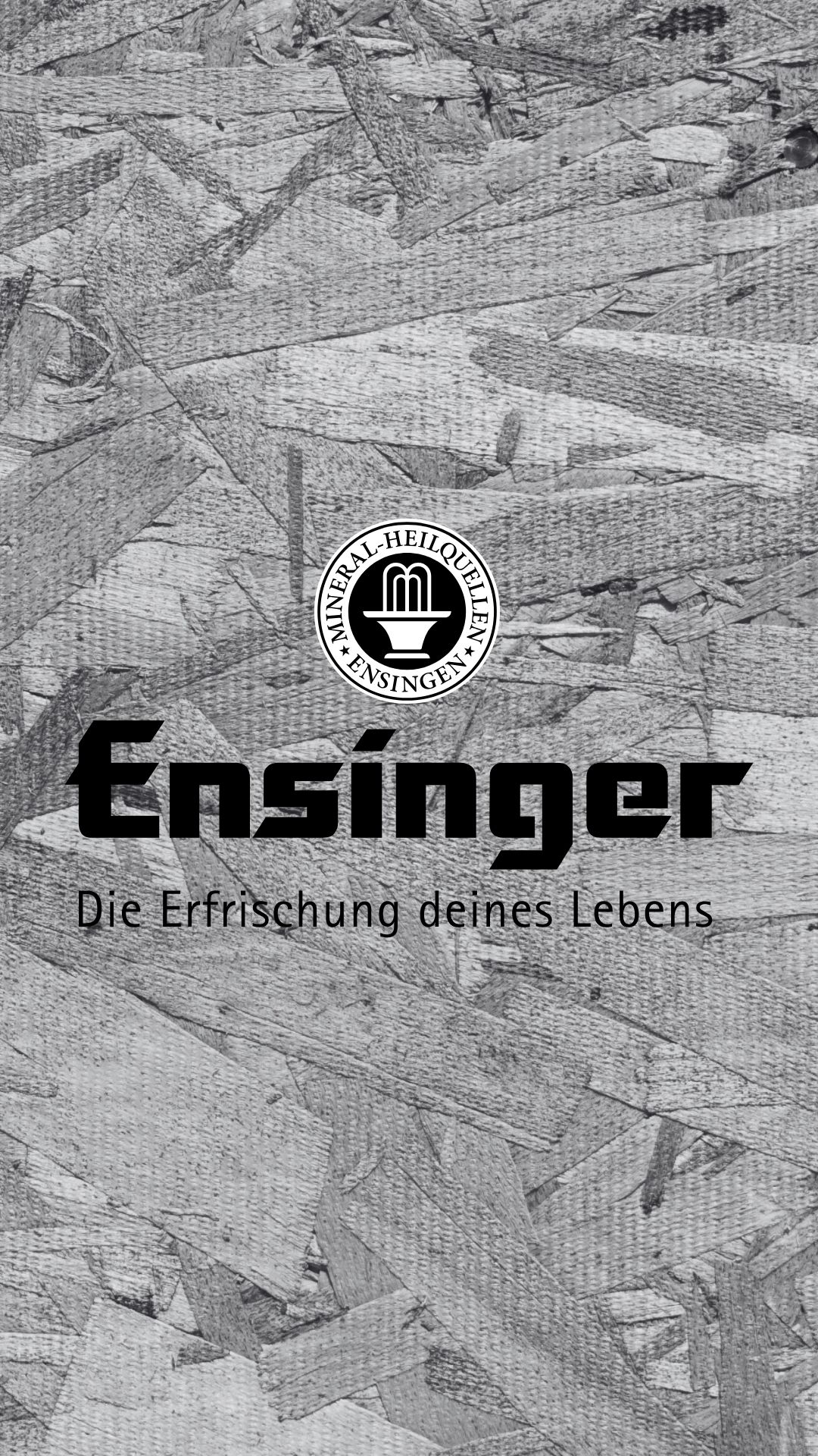 Ensinger Partner Flat du Palais