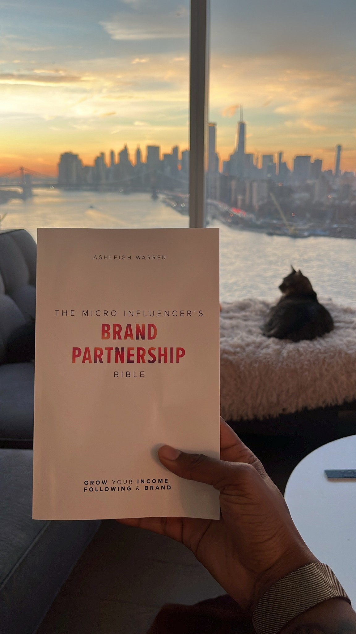Ashleigh Warren holds her book titled "The Brand Partnership Bible" against a scenic sunset skyline view.