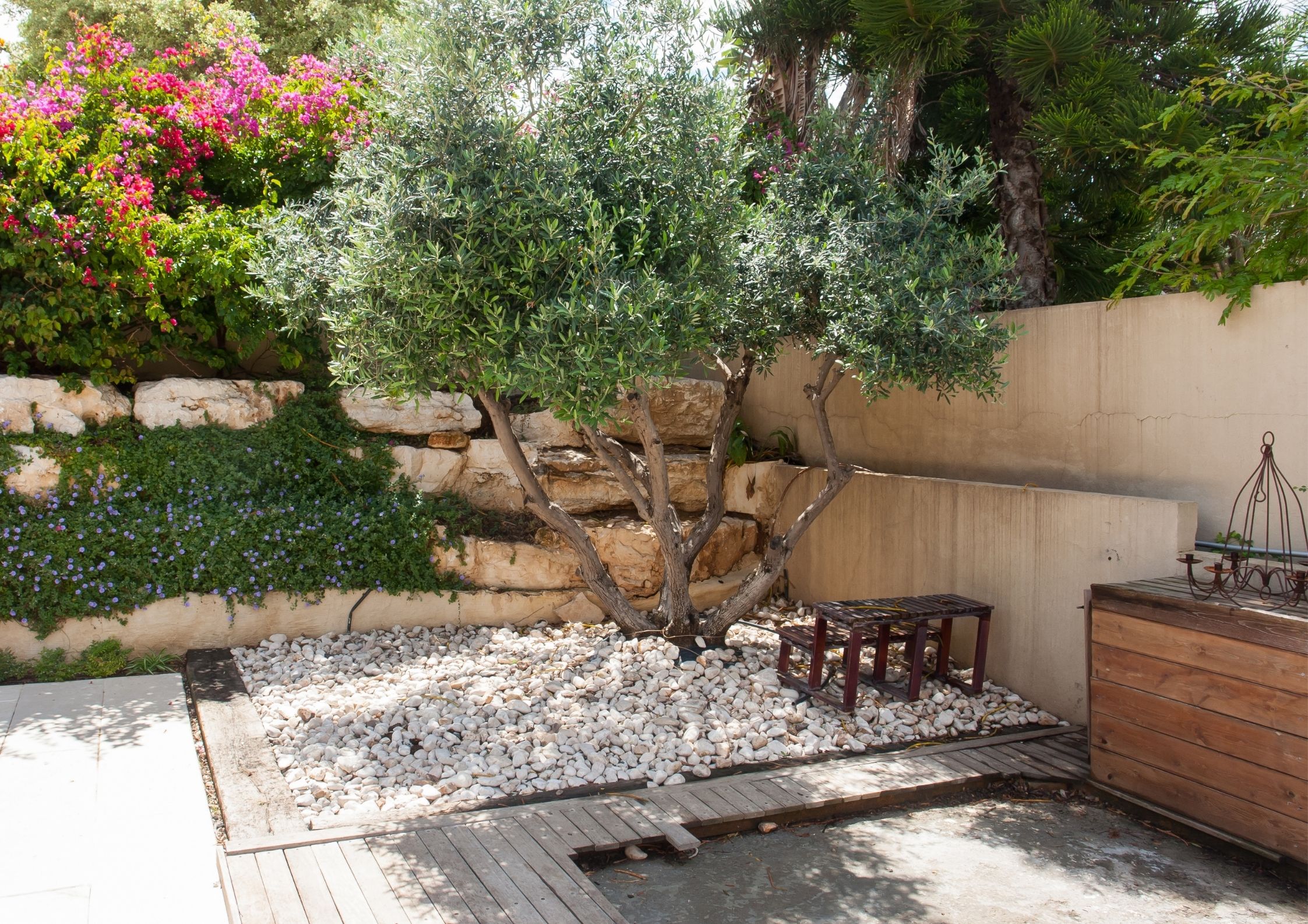 Landscaping and Garden Design Trends 2022