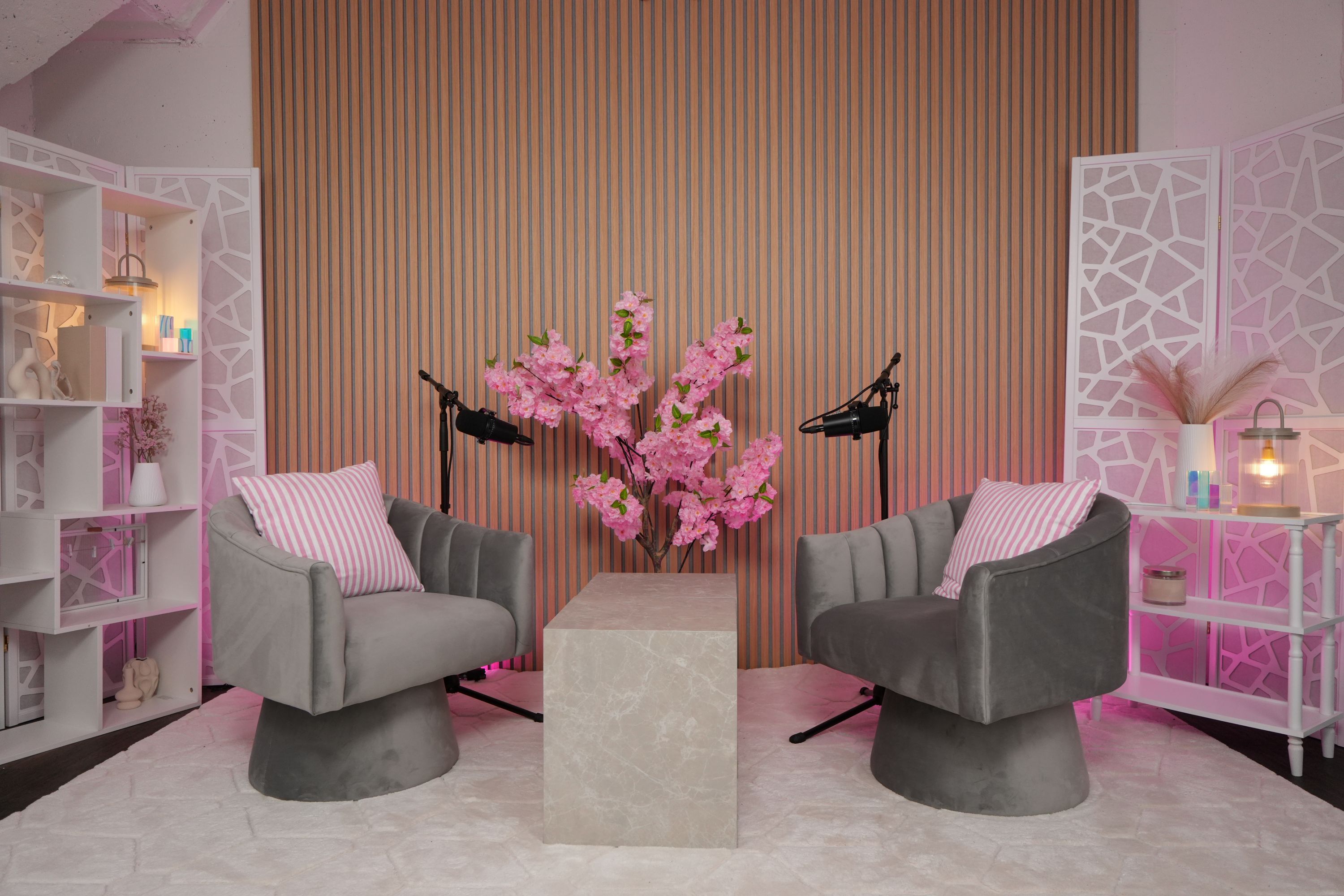 Video-Podcast Studio Pink Set contentLAB