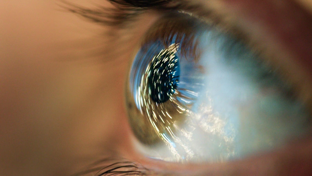 Nahaufnahme eines Auges. Spiegelungen erinnern an Karl Kaps Microscopes made in Germany. Detailreiche Iris.