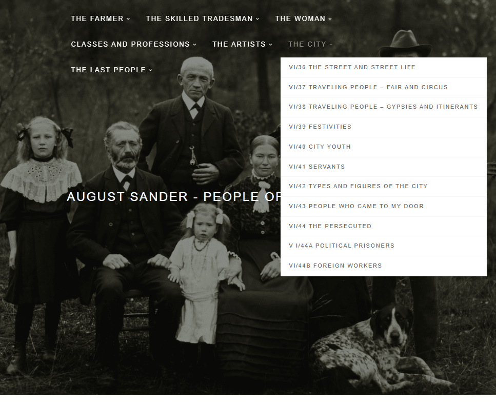 Screenshot Sander Website