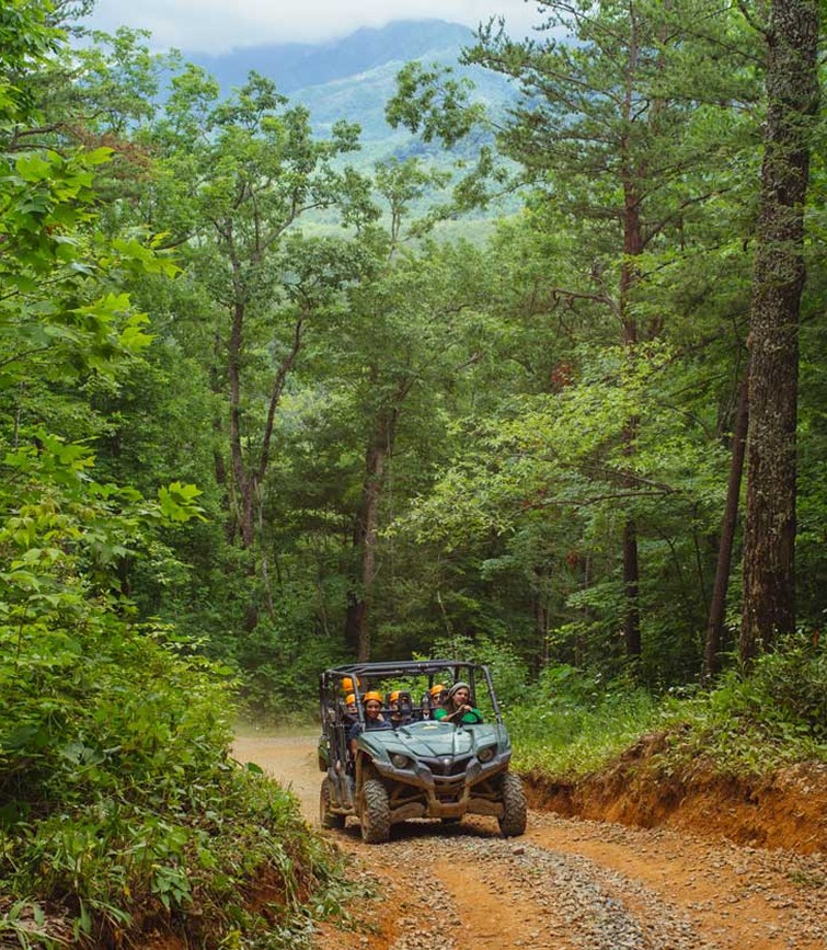 Rugged UTV path with UTV driving toward camera