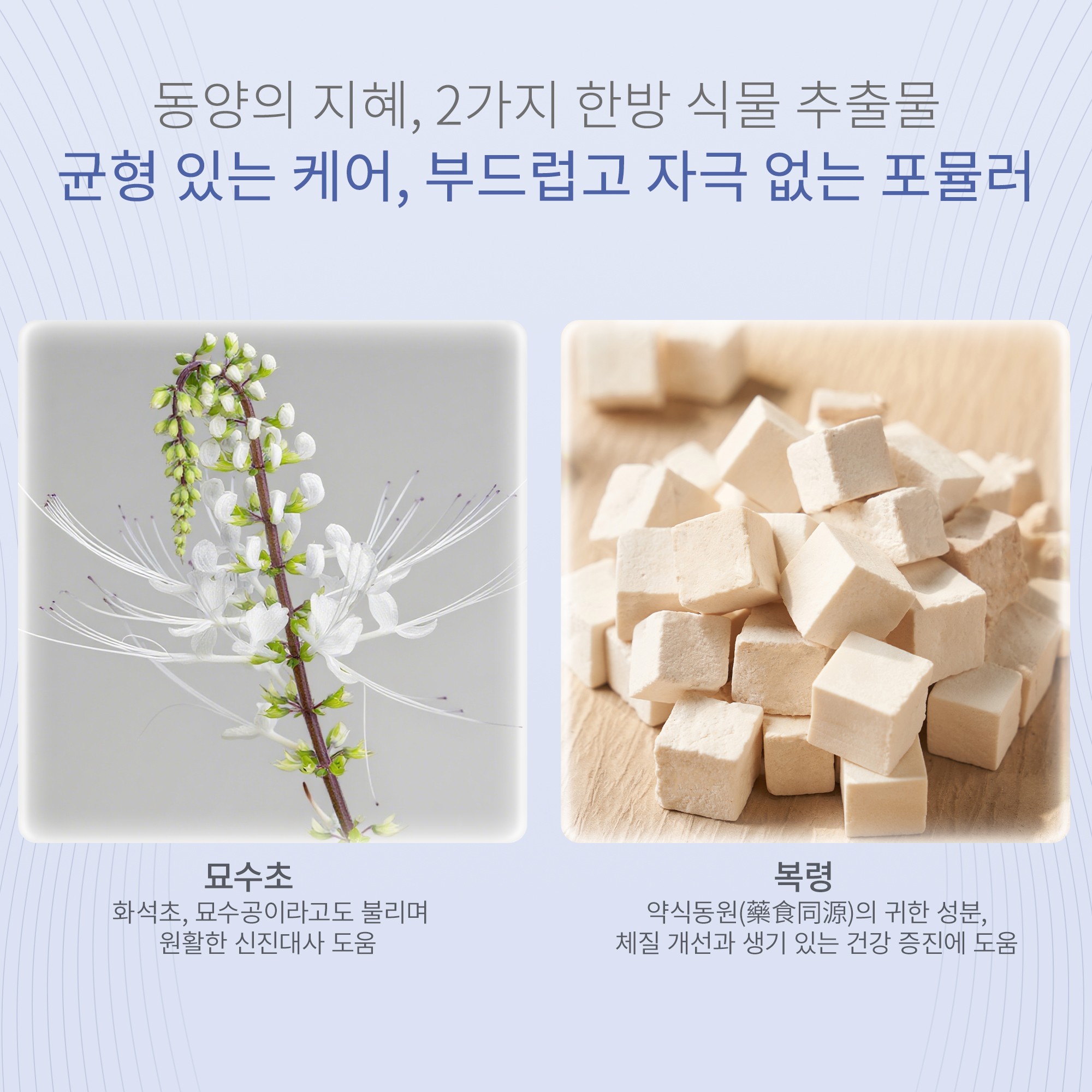 美极孅净冻