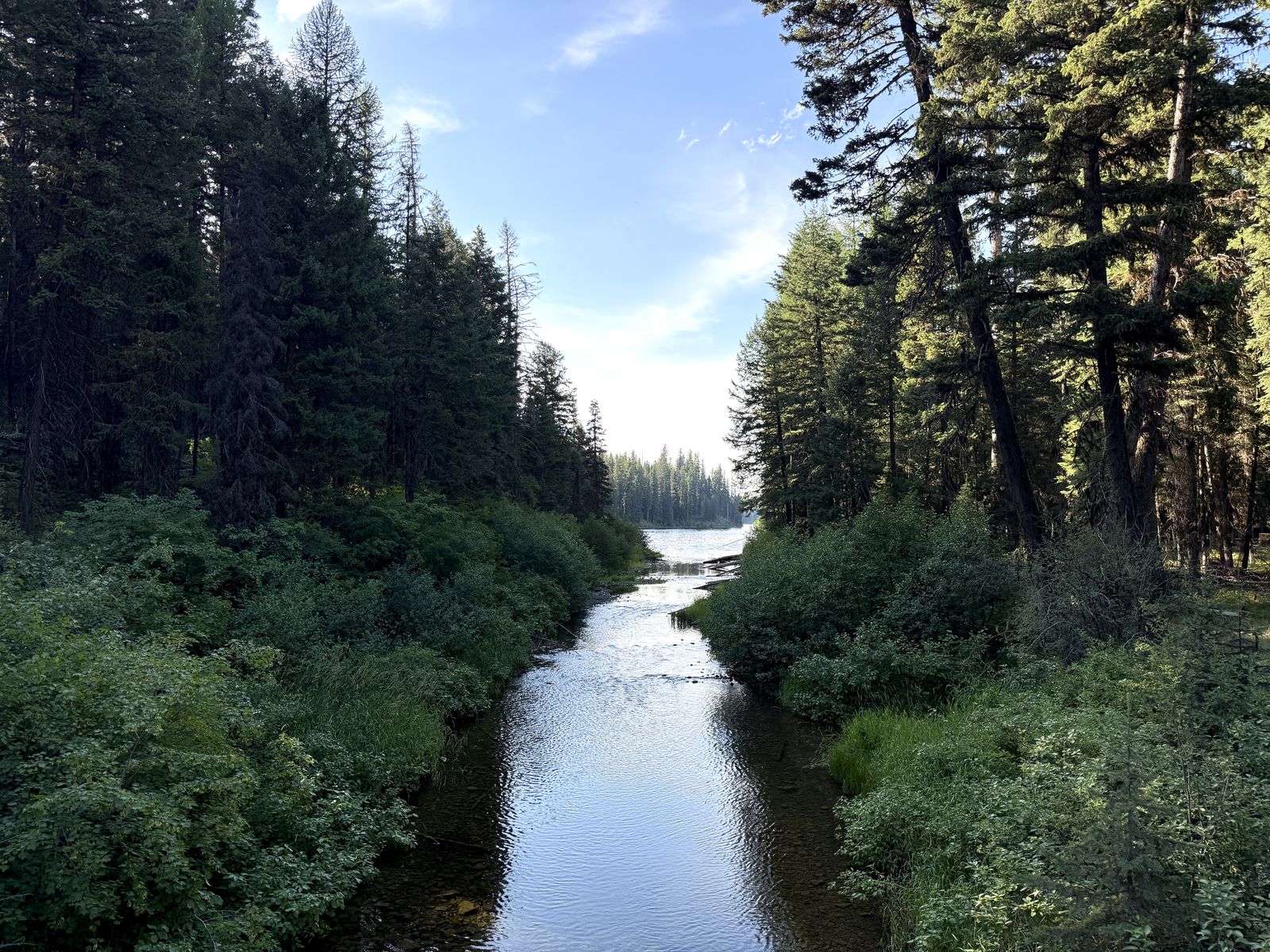 The shallow creek near our boondocked campsite off Placid Lake Road