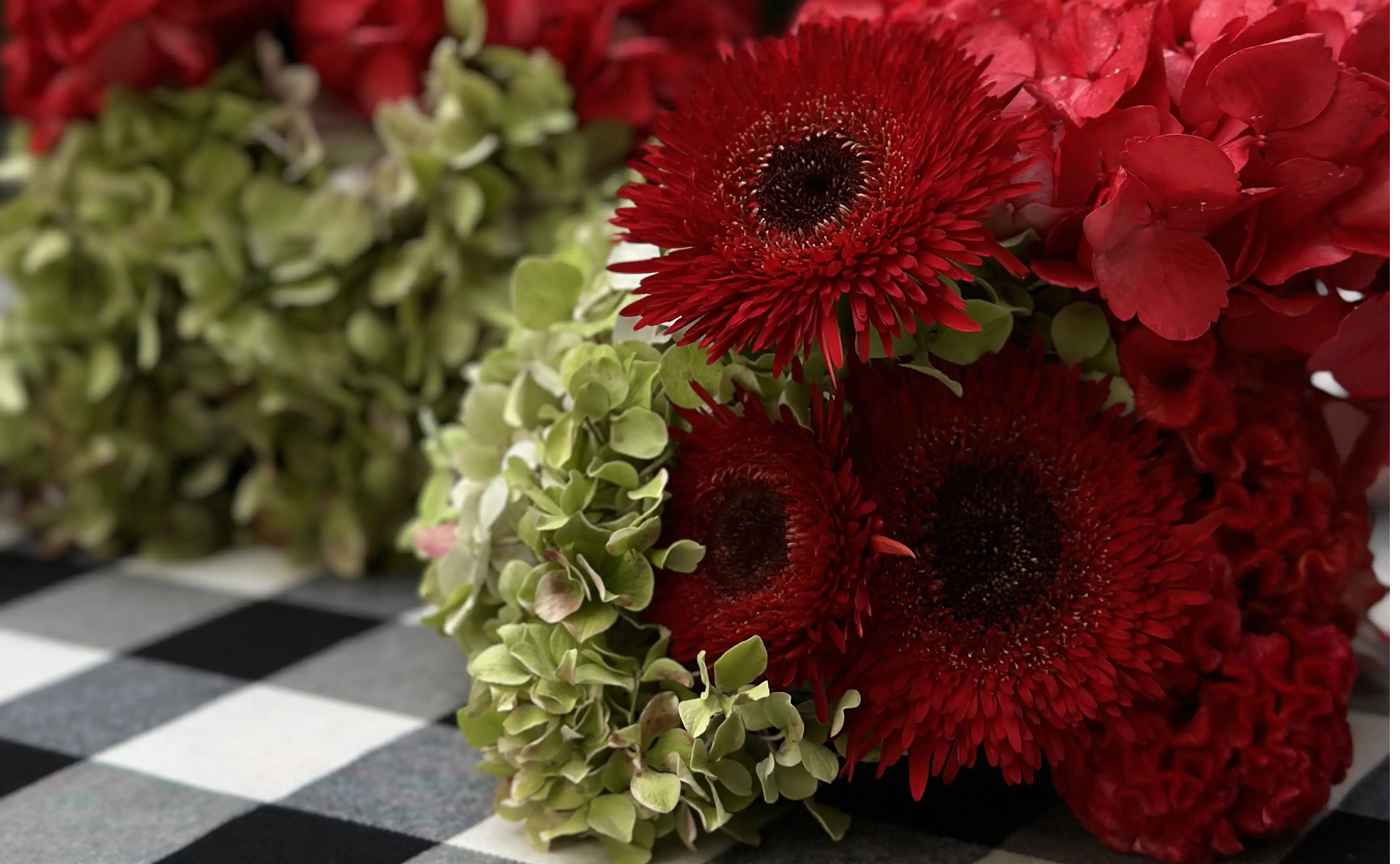 Primer plano de flores rojas y verdes sobre mantel a cuadros en composición floral intensa y elegante.