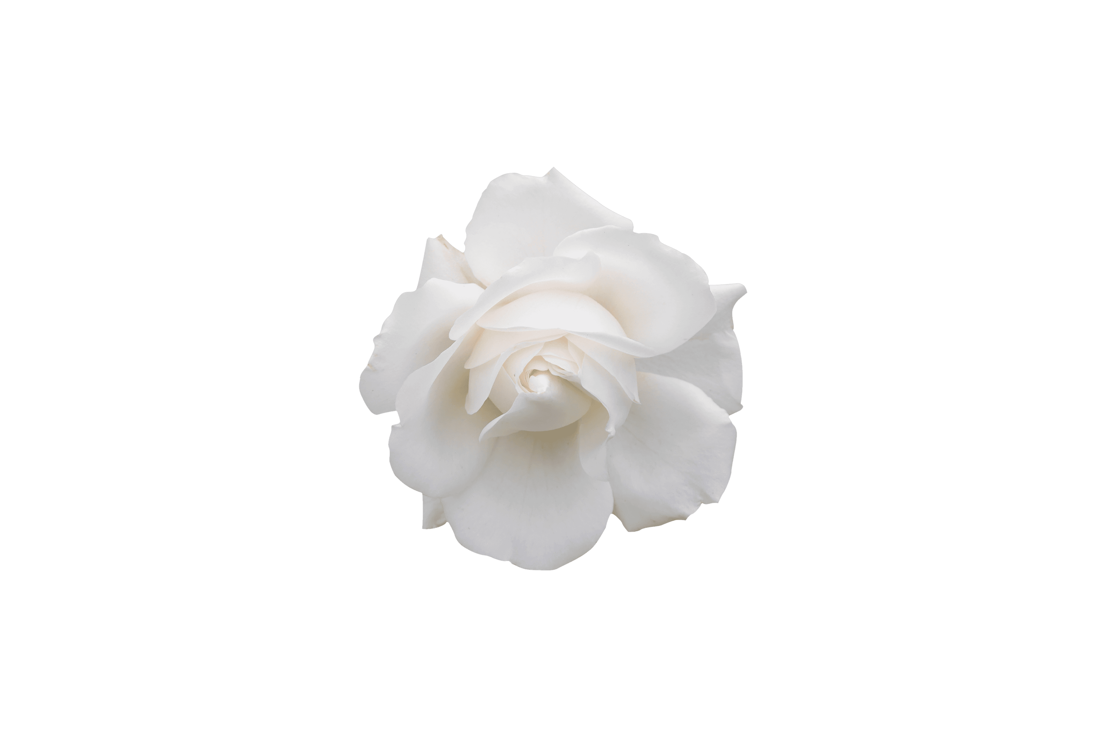 Cushion Amethyst Diamond Ring Preview 1