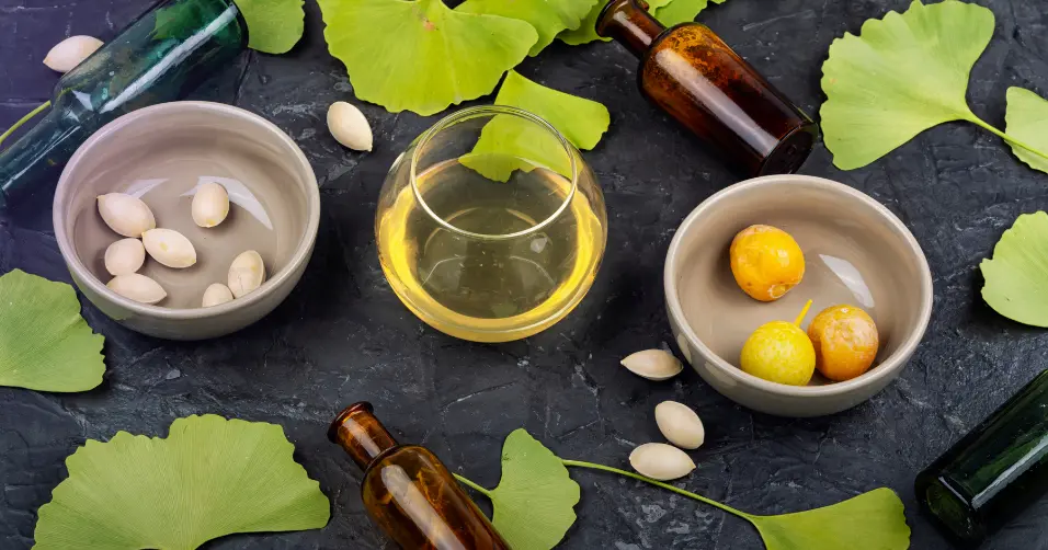 Ginkgo biloba is a plant extract that supports circulation and brain function.