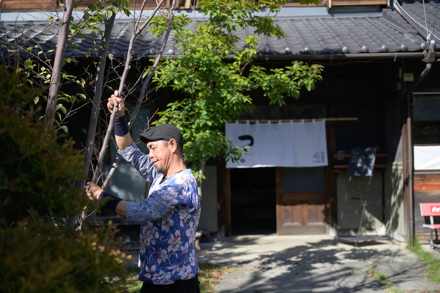 少しでも時間があれば、すかさず木の手入れを始める古川さん
