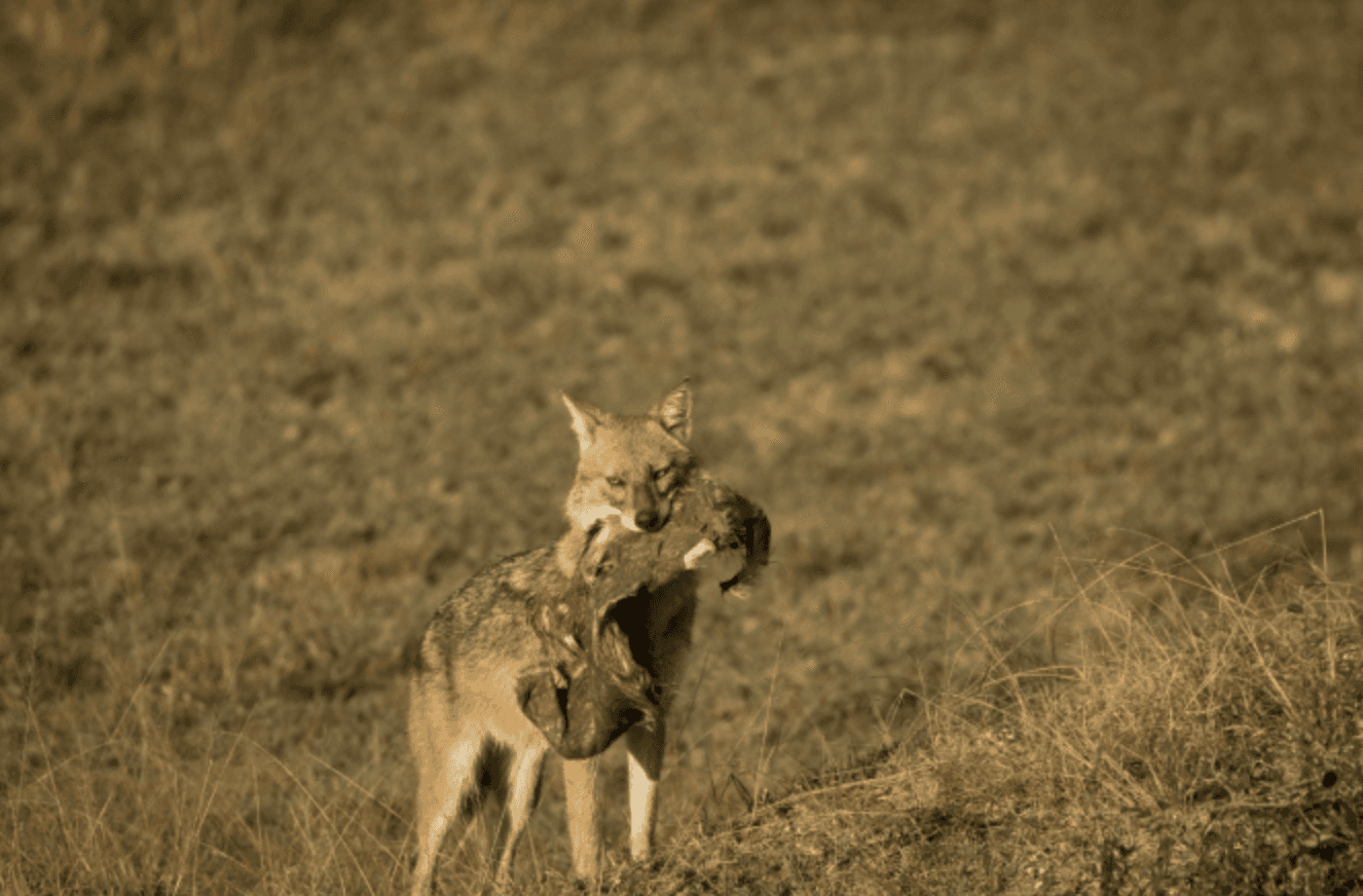 a person standing in front of a building