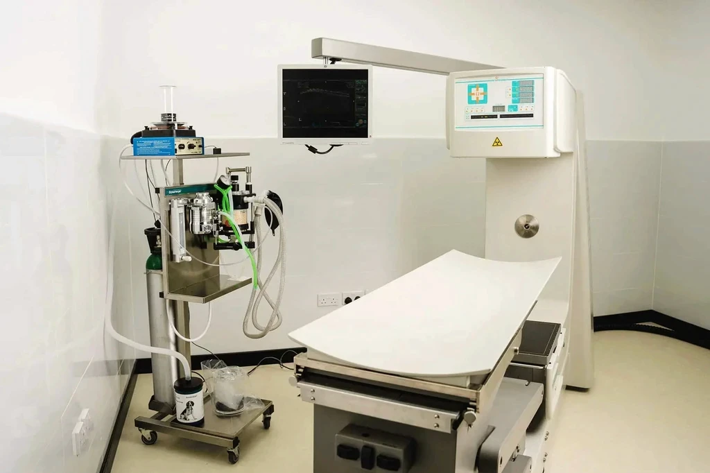 Advanced diagnostics at our JLT vet clinic.