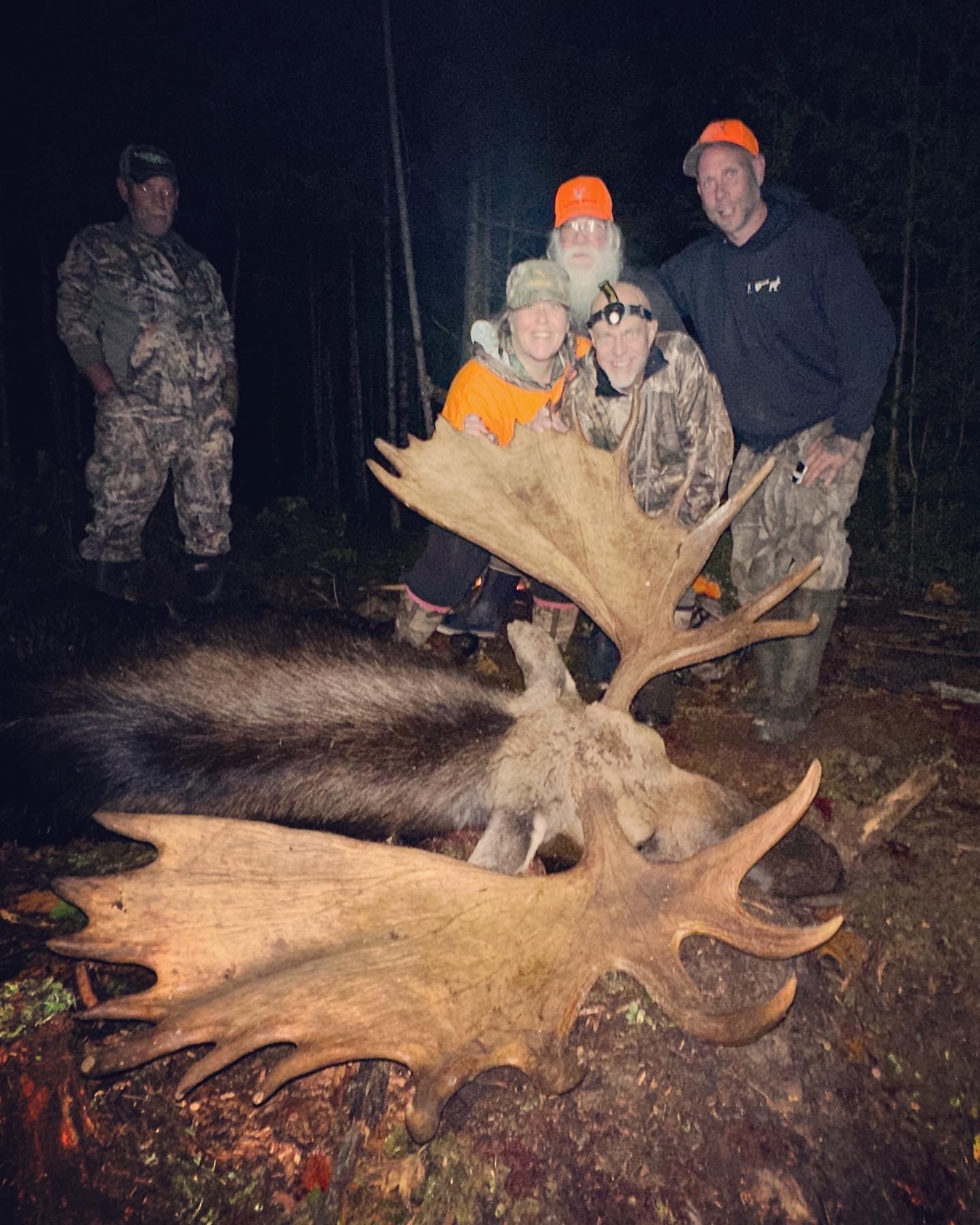 maine guide moose hunting