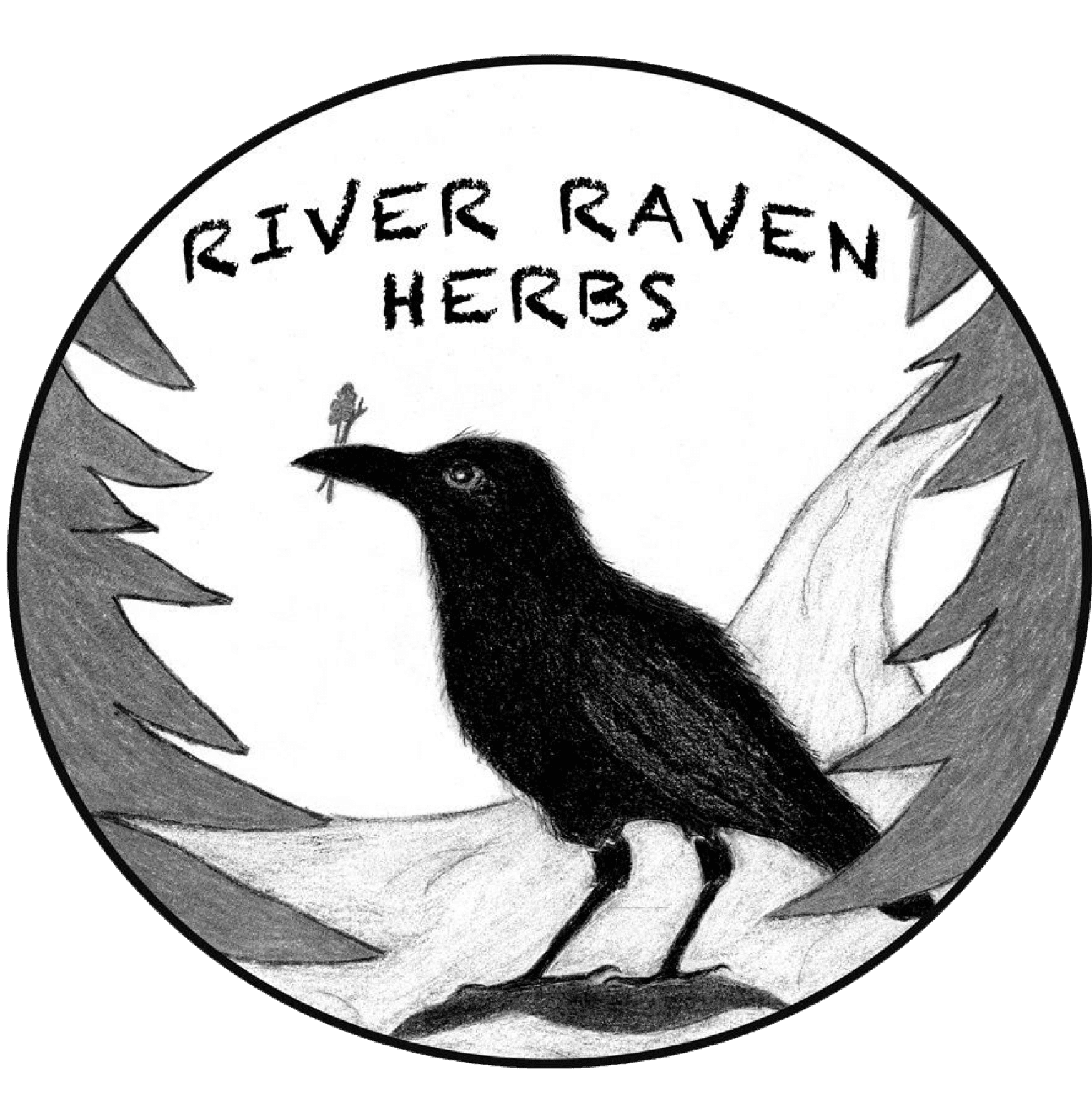 River Raven Herbs logo.