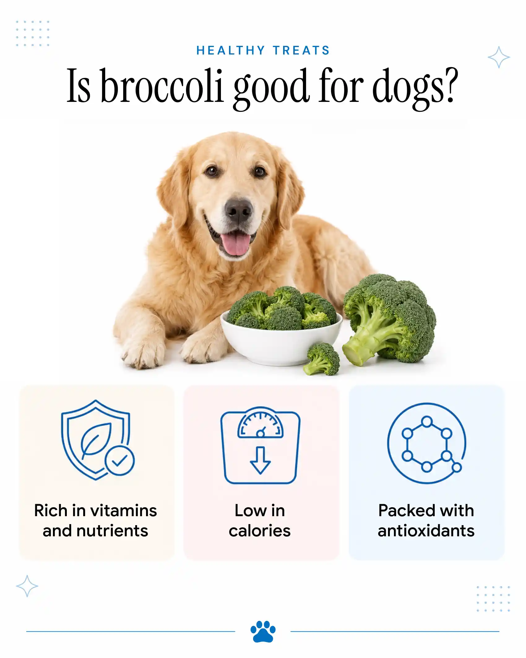 Benefits of broccoli for dogs
