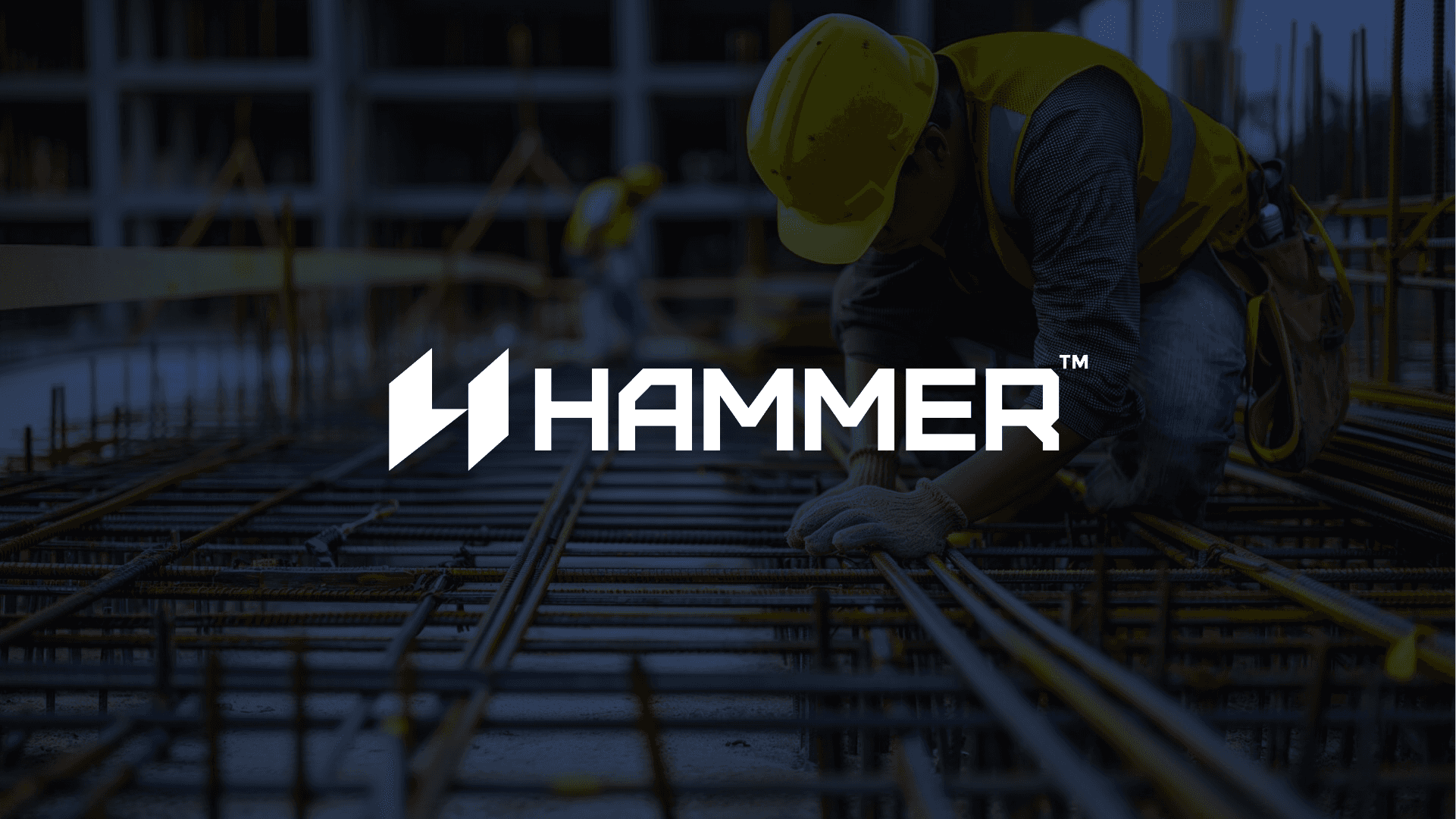 brand identity of Hammer