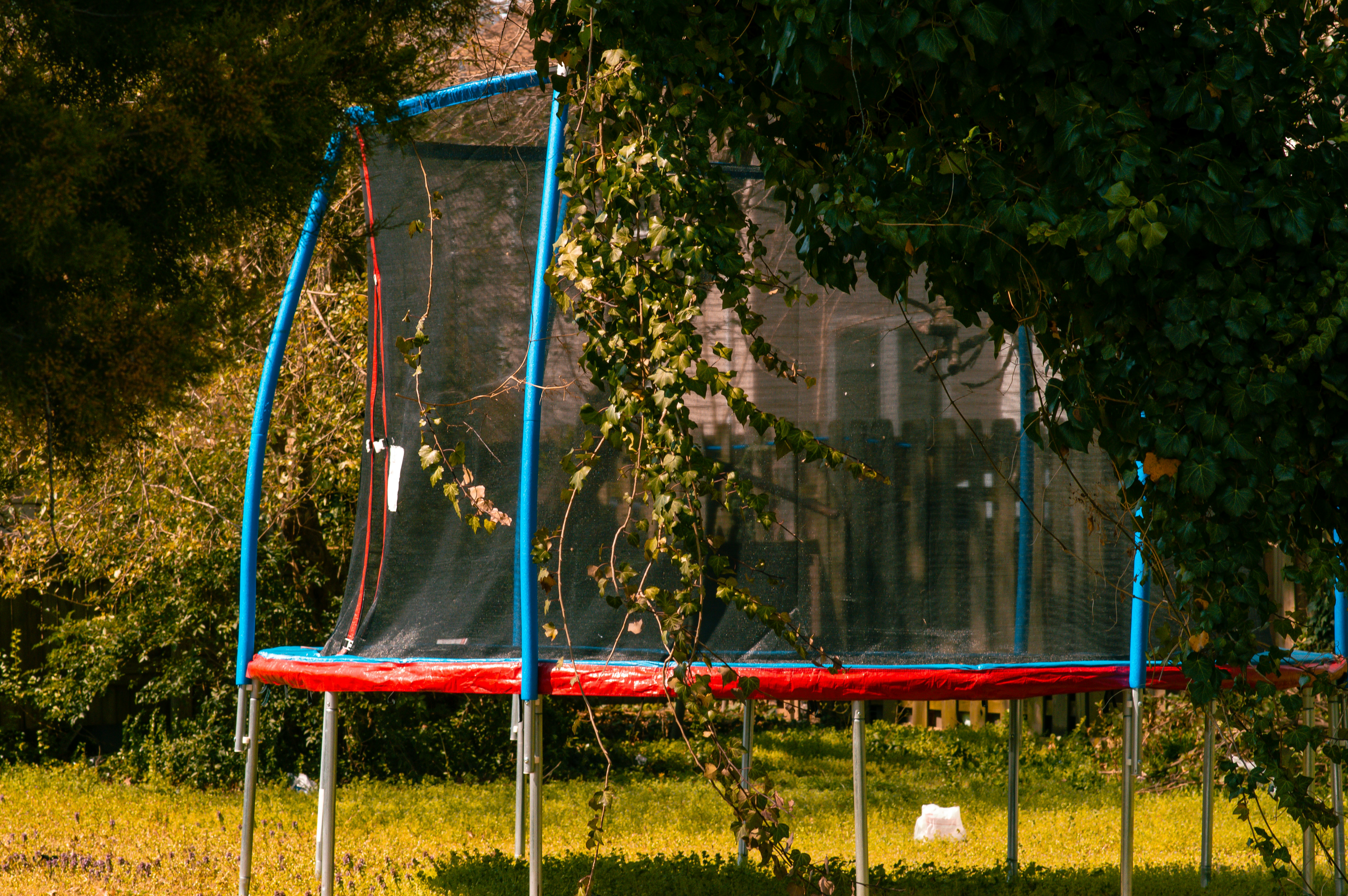 A trampoline in the backyard with trees surrounding it.