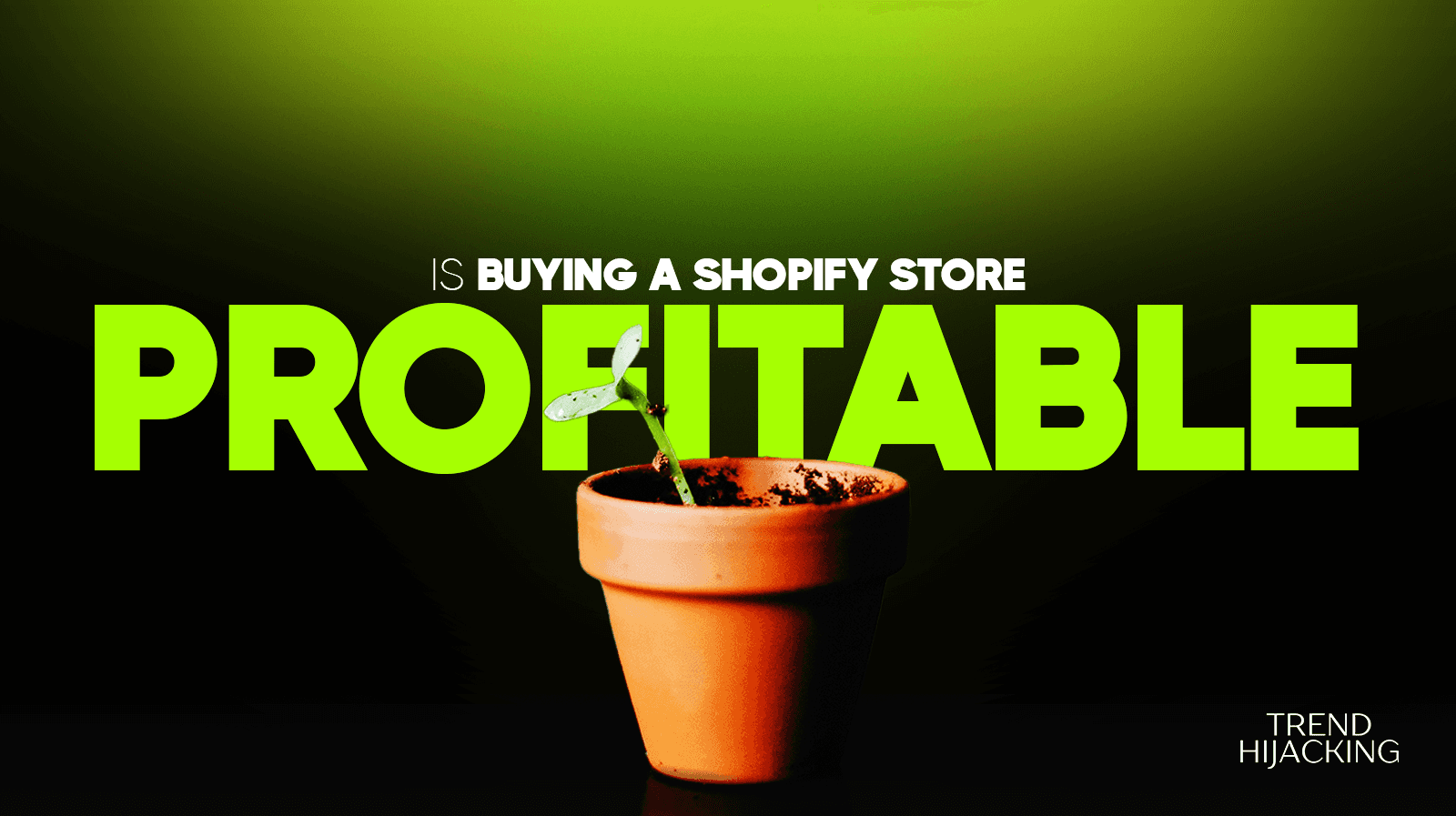 is buying a Shopify store profitable