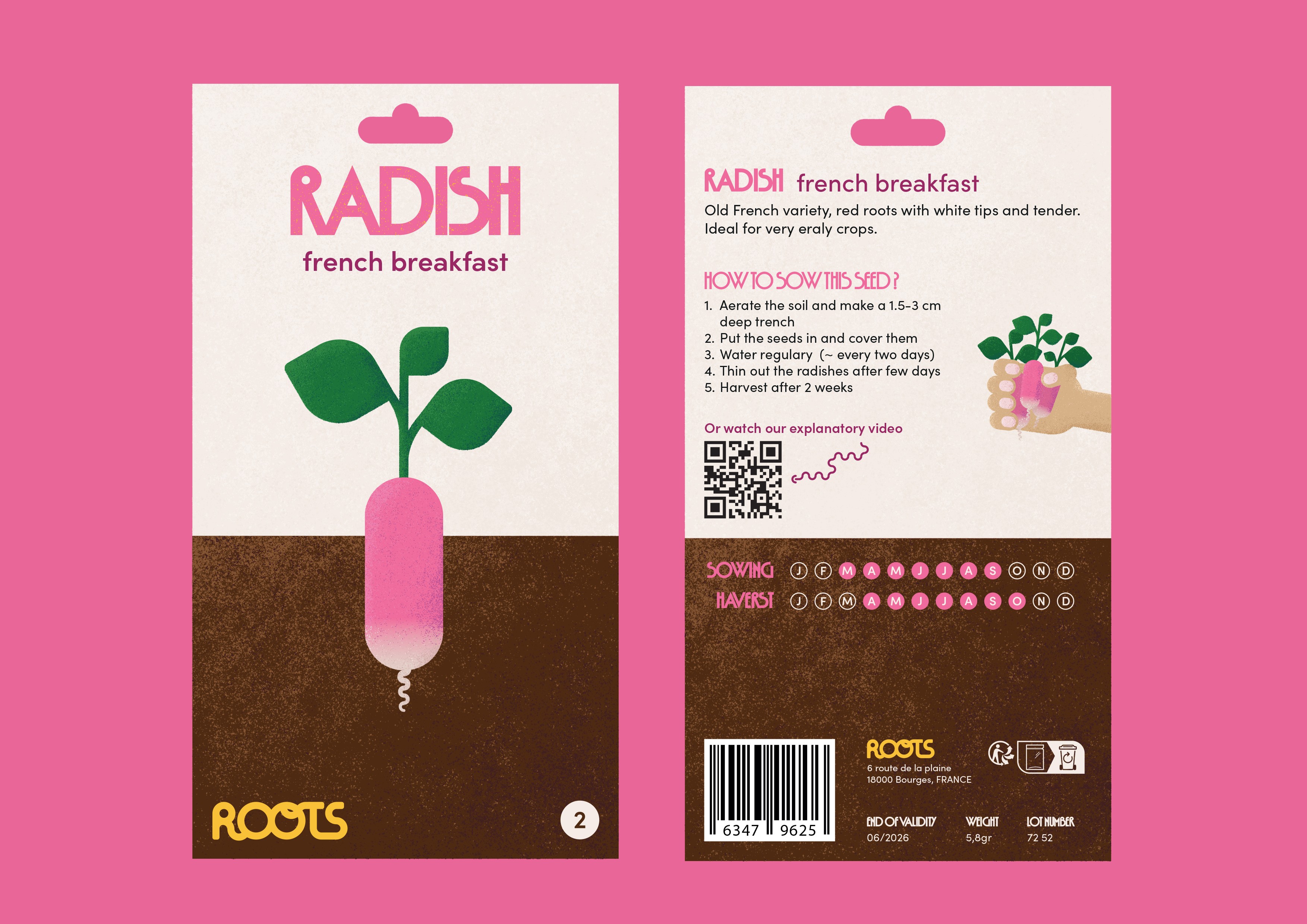 Sachet graines de radis