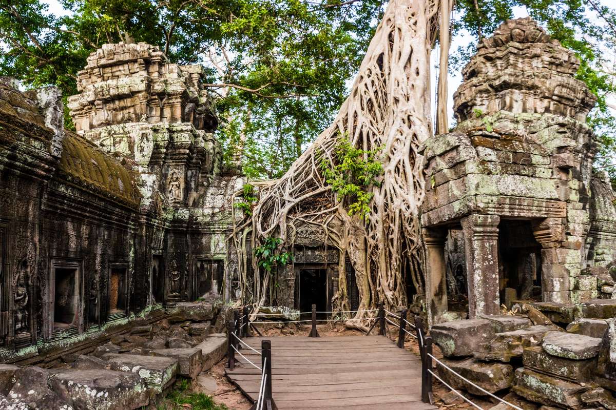 Ancient stone temple ruins with weathered carvings and a large tree's thick roots growing over the structures.