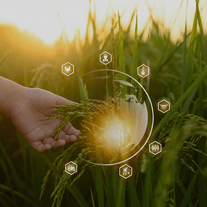 Farmer uses ai technology to monitor crops.