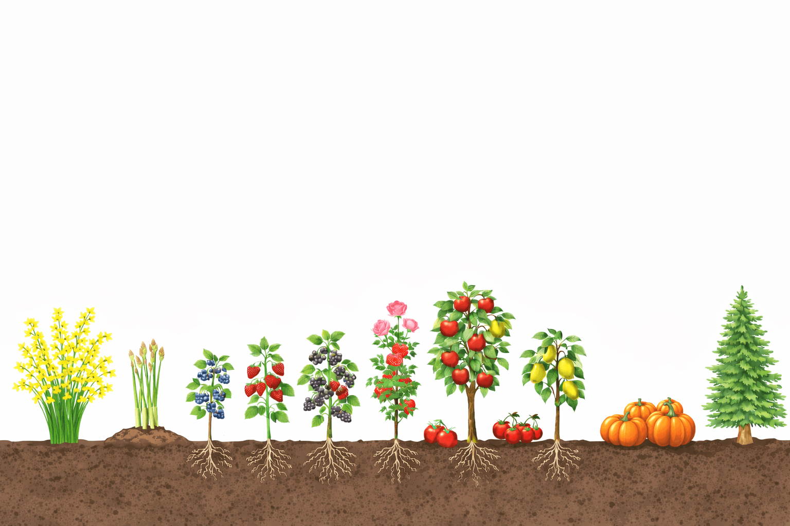 Der Jahresverlauf auf unserem Hof