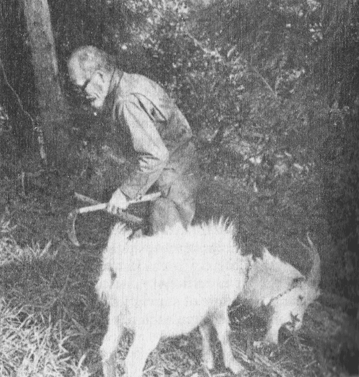 A bed in a hotel room with a couple of pillows on top.