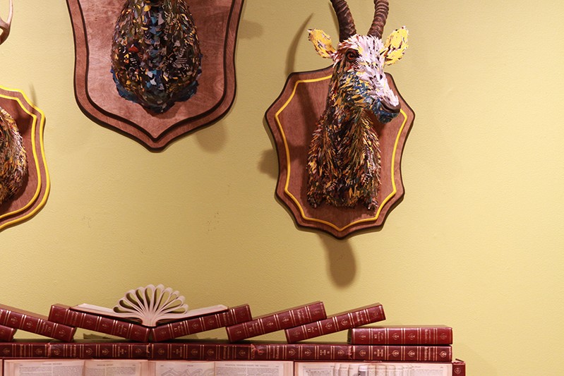 deer head on the wall