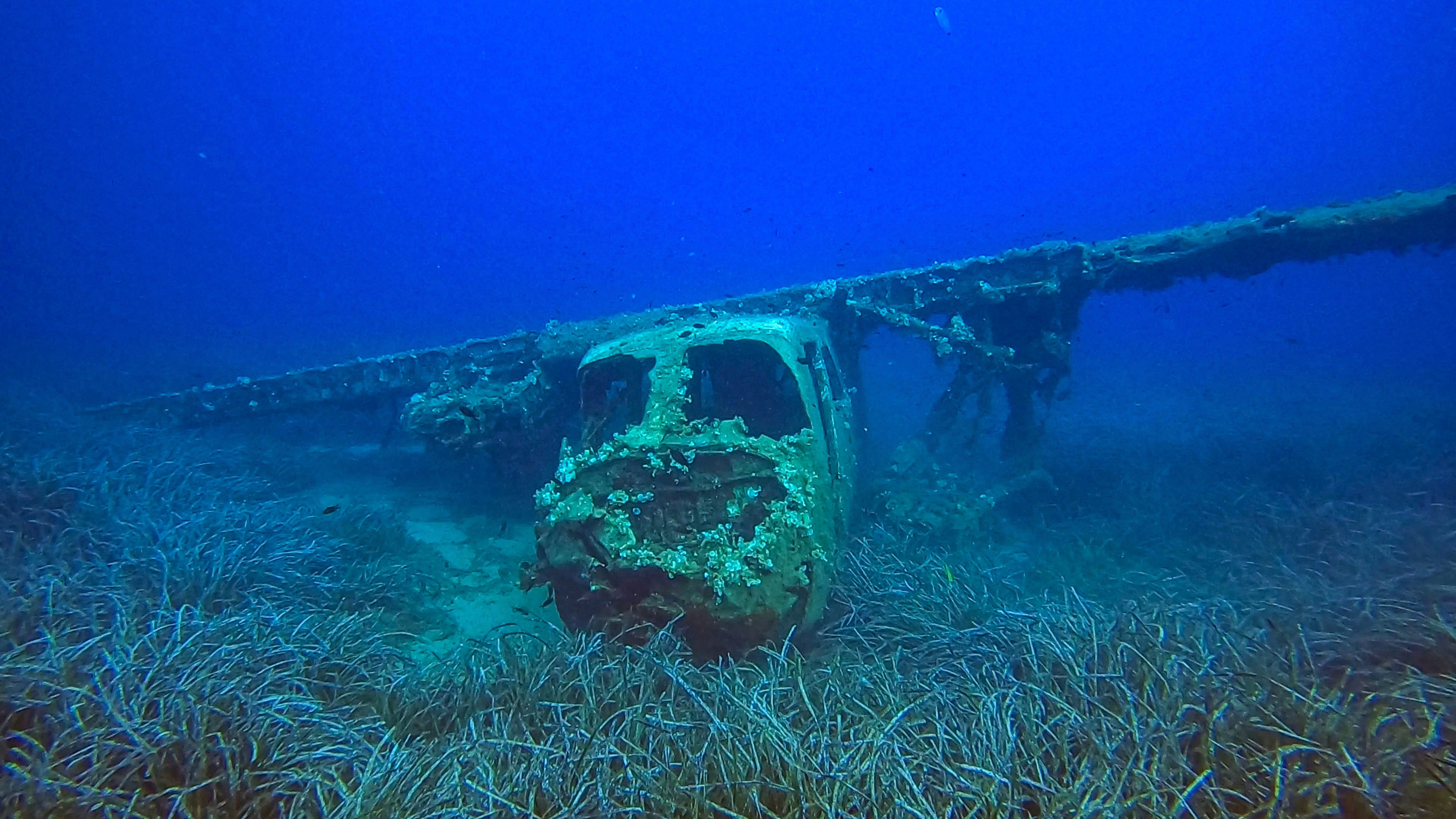 a person swimming in the ocean with a mountain in the background