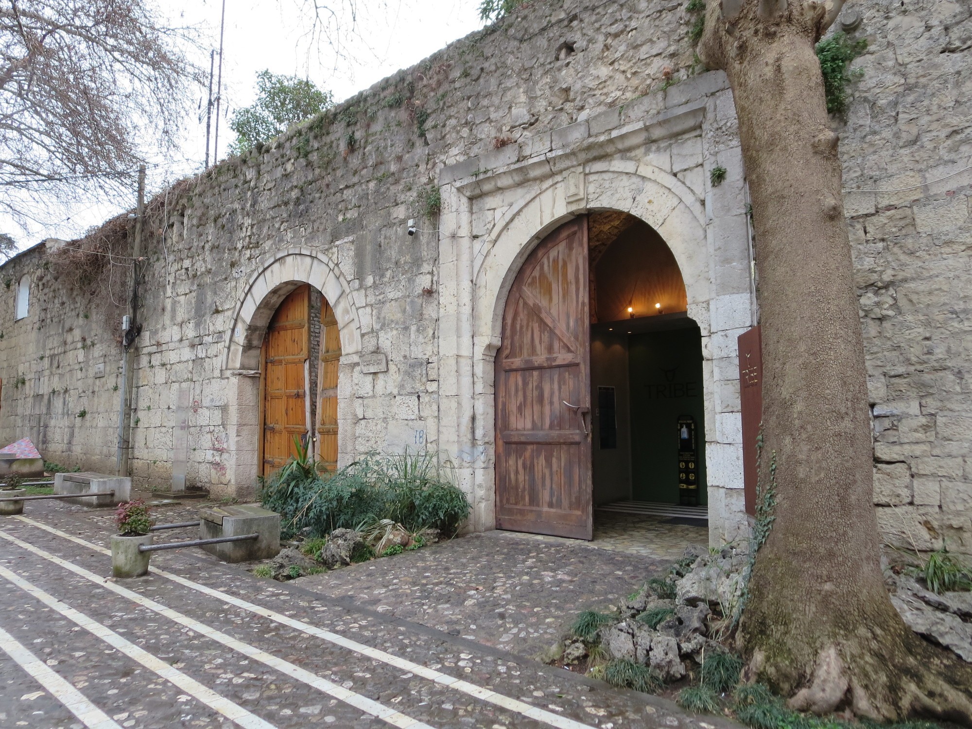 Blog Image