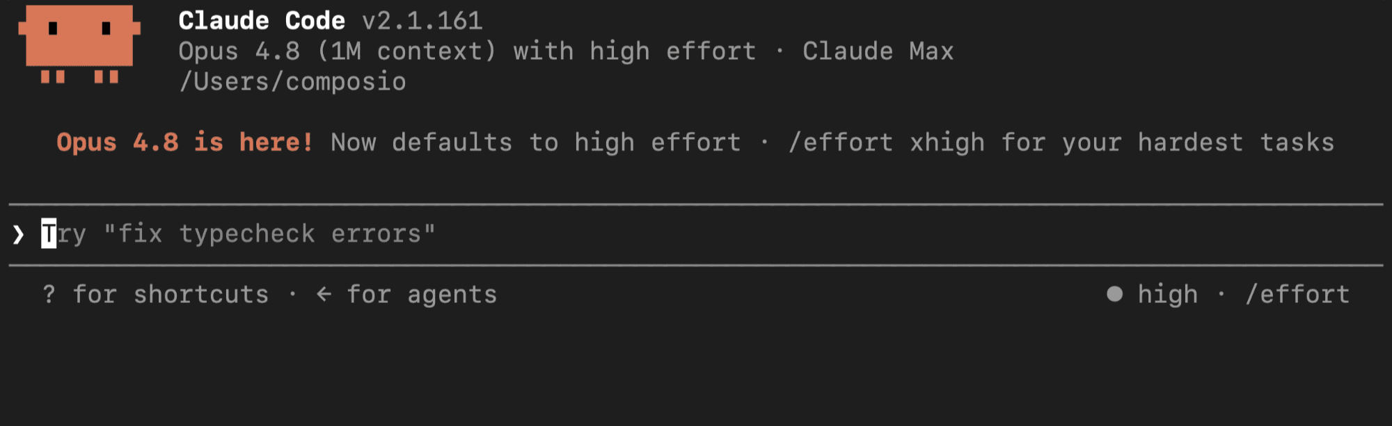 Claude Code terminal